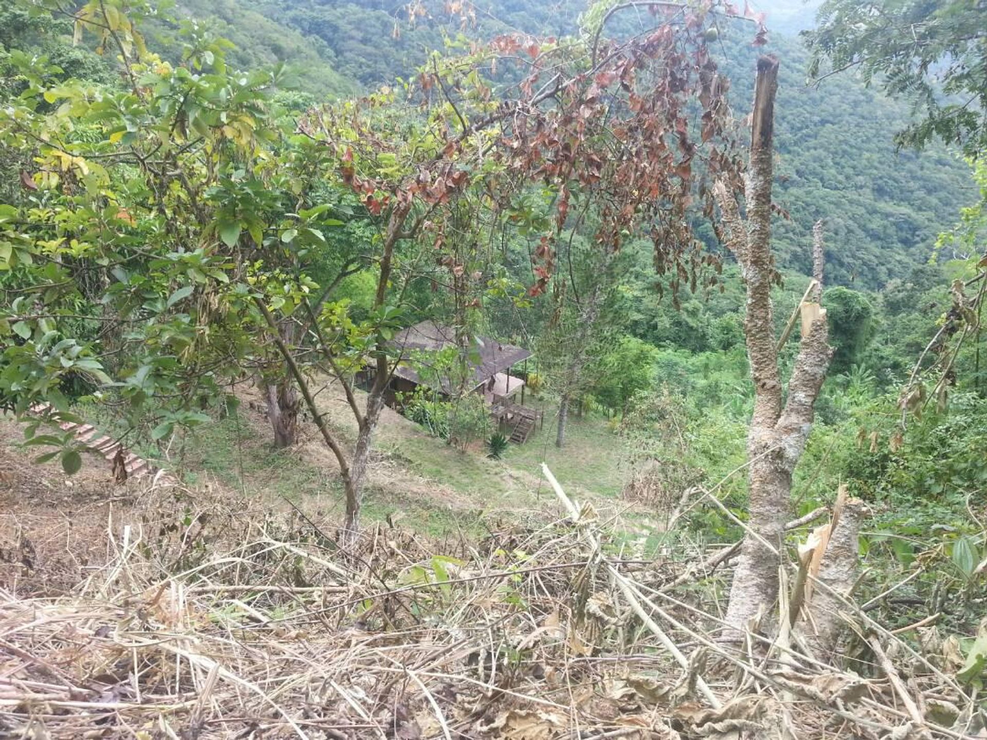 House in Turgua, Miranda   Venezuela 10014353