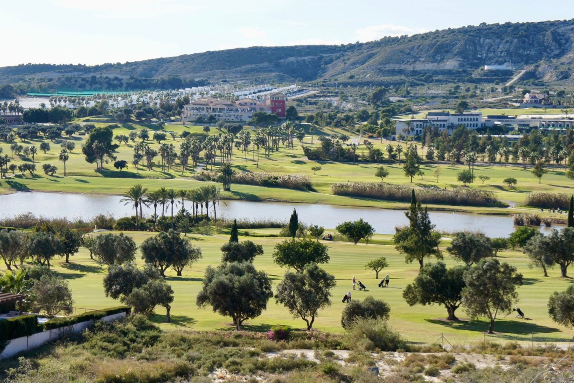 بيت في Algorfa, Alicante 10014982