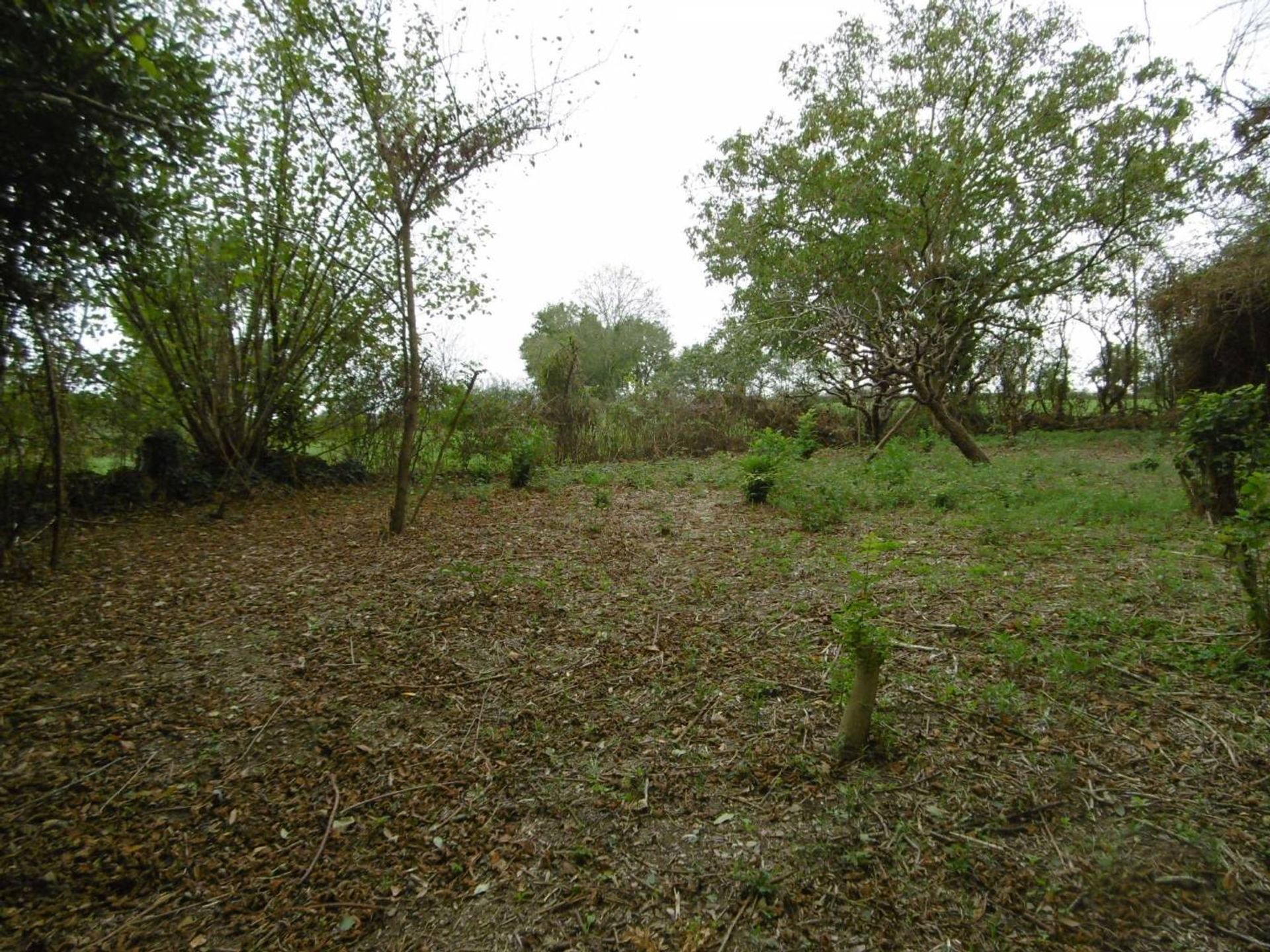 Rumah di Le Busseau, Nouvelle-Aquitaine 10015345