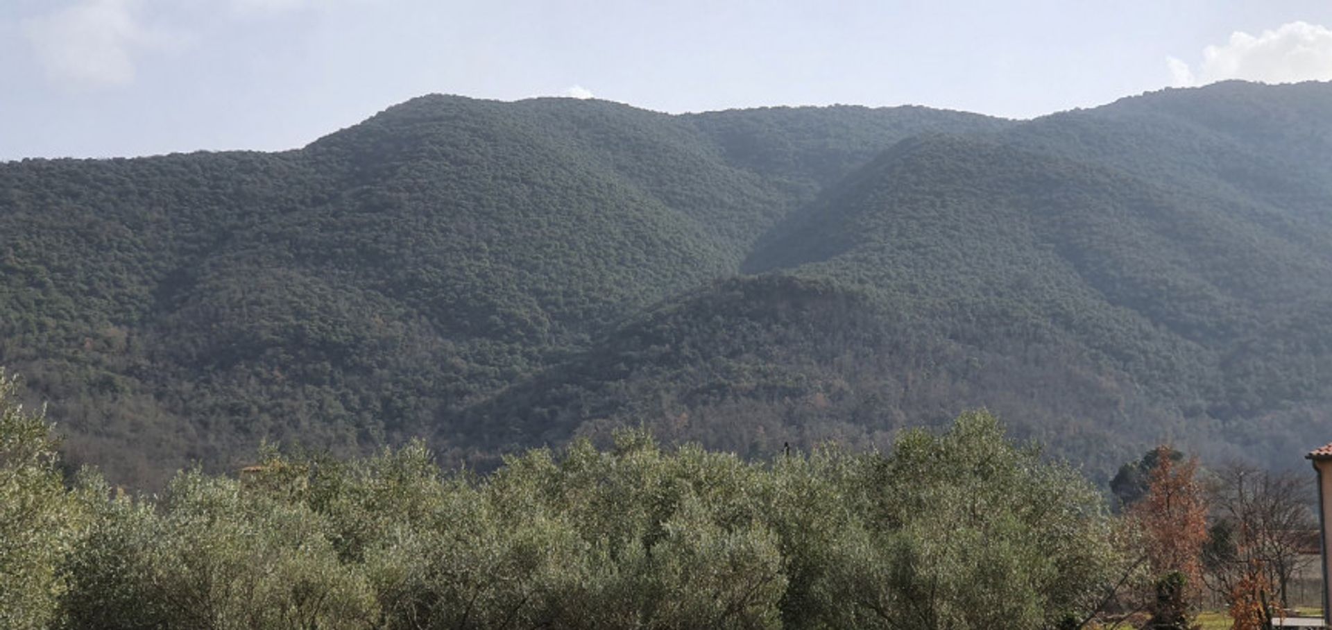 Земельные участки в Espira De Conflent, Languedoc-Roussillon 10015794