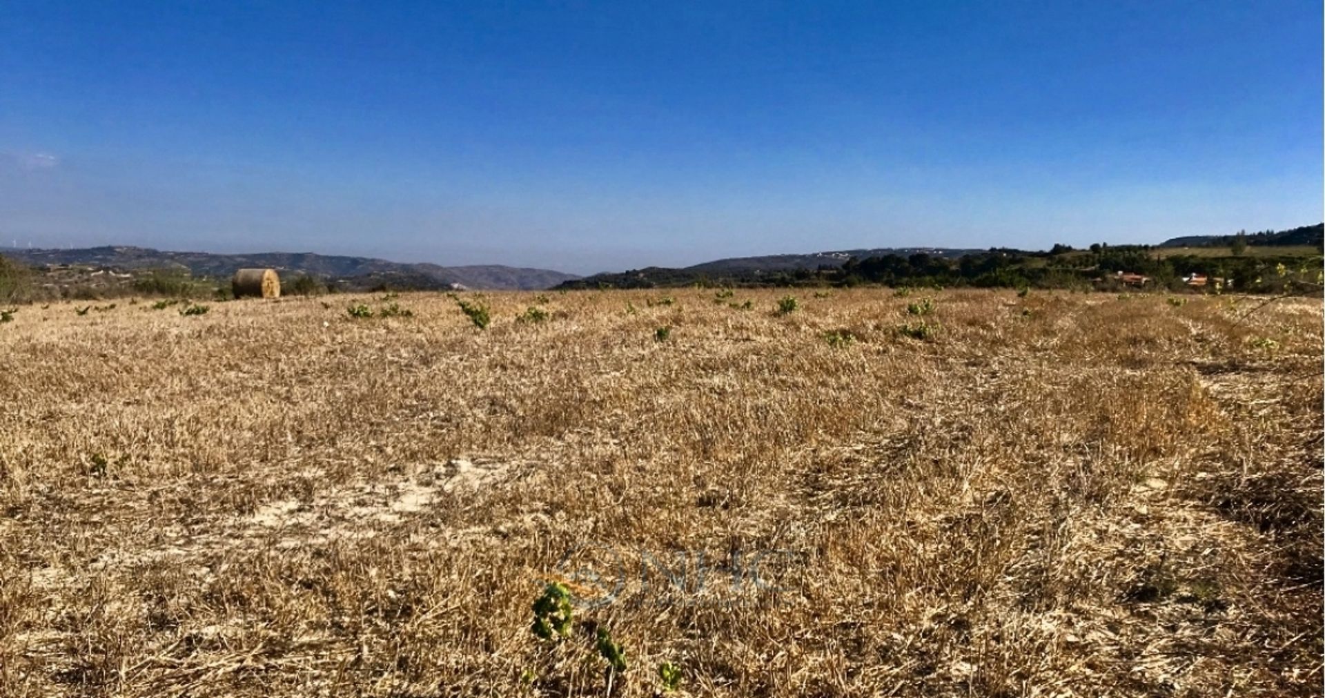 Land im Mesa Chorio, Pafos 10015796