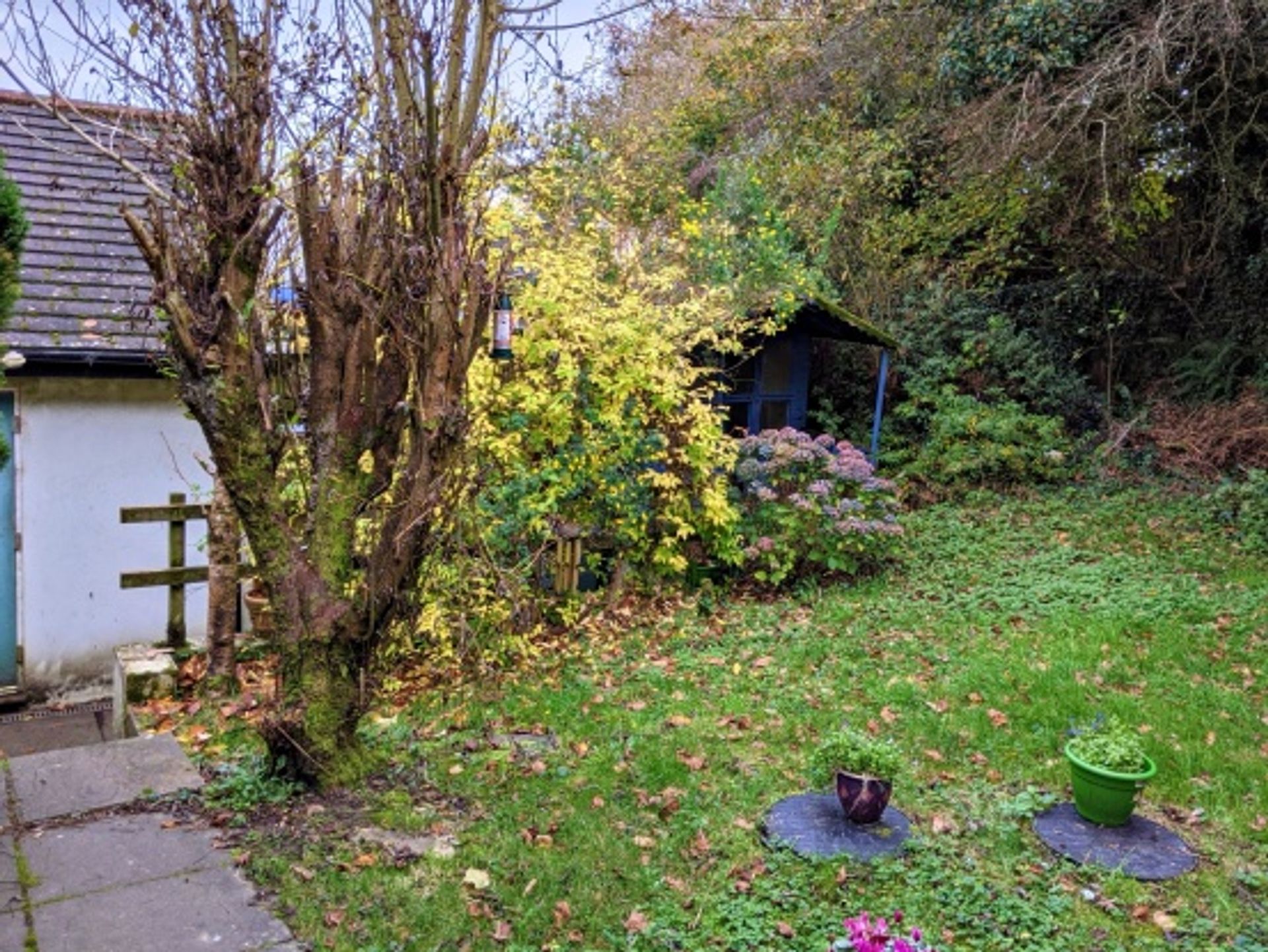 rumah dalam Umberleigh, Devon 10016122