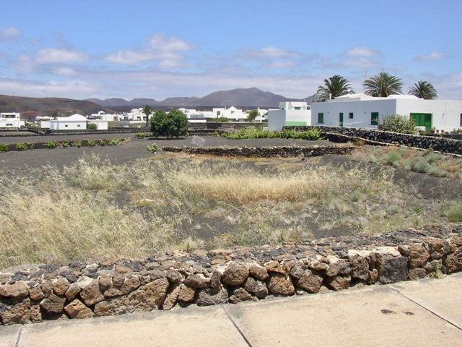 Tierra en uga, Islas Canarias 10016805