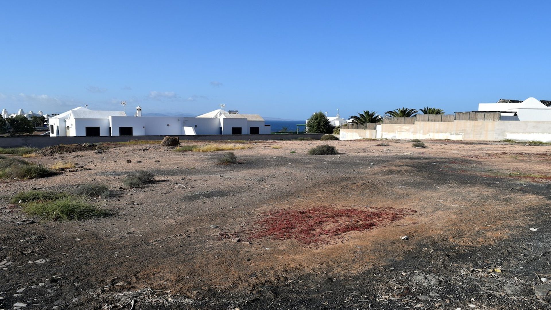 الأرض في Playa Blanca, Canary Islands 10016814