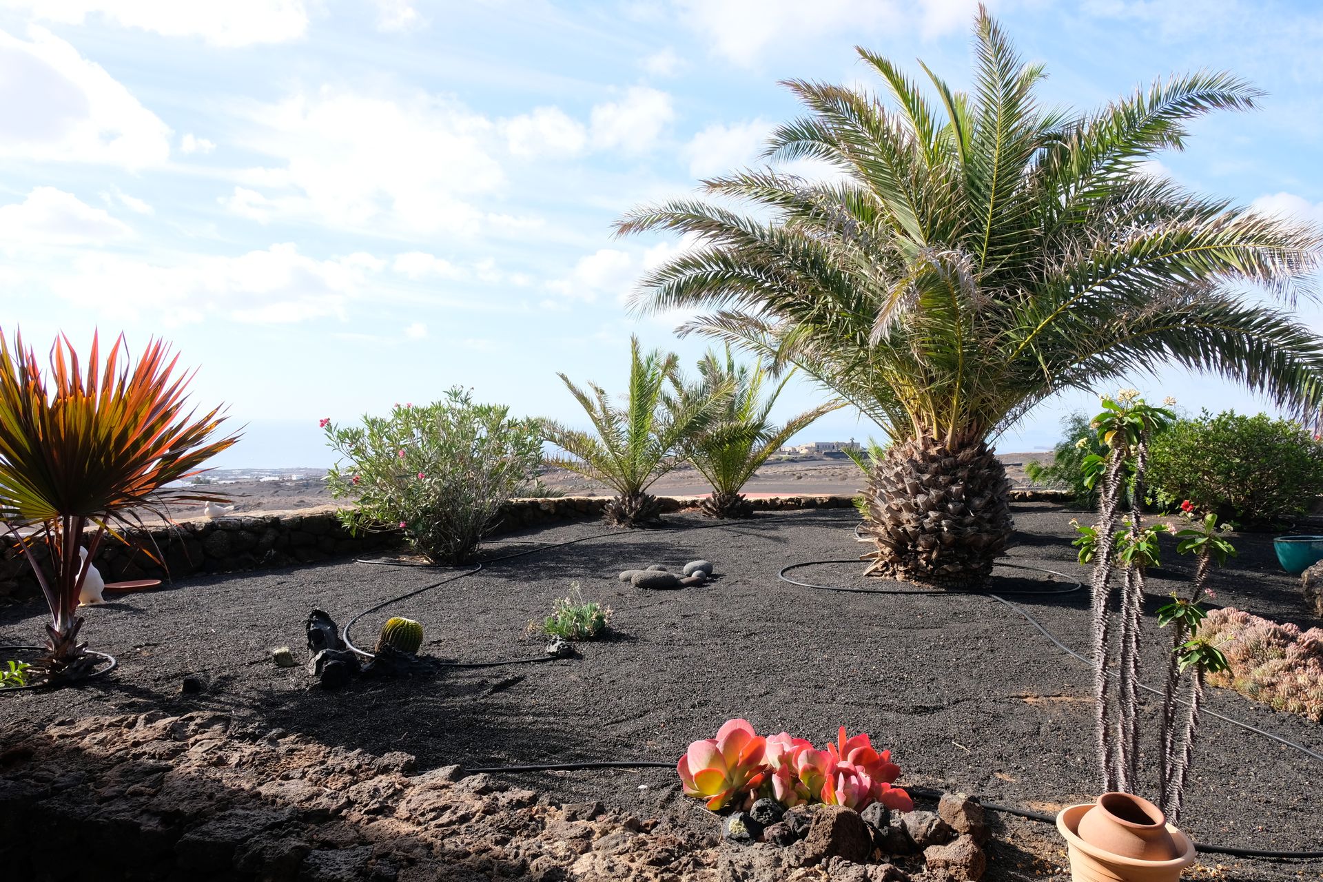 房子 在 La Asomada, Canary Islands 10016944