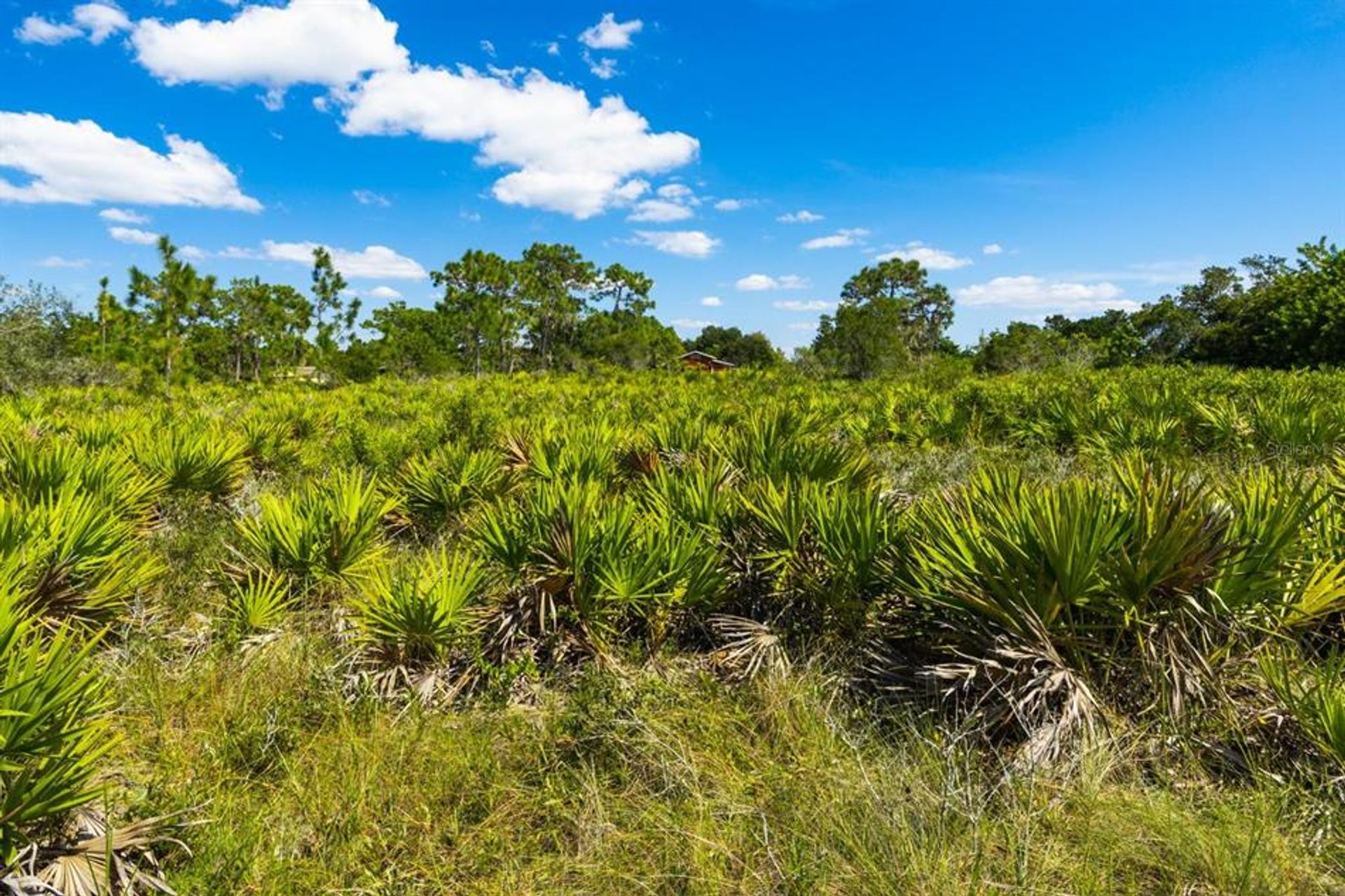 Land in Myakka City, Florida 10017583