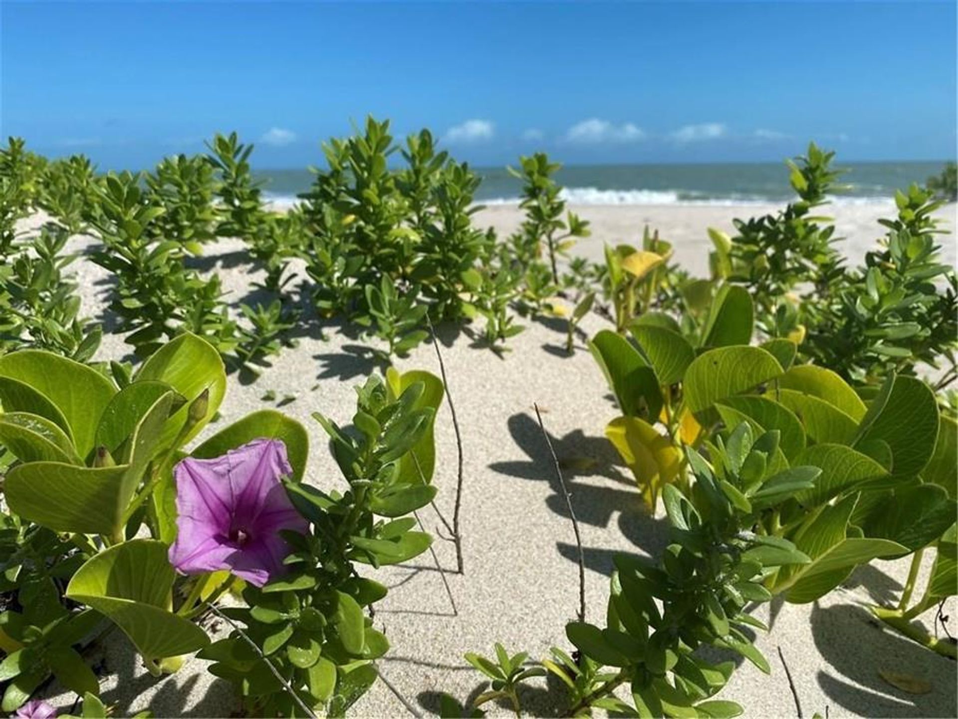 casa en North Hutchinson Island, Florida 10017590