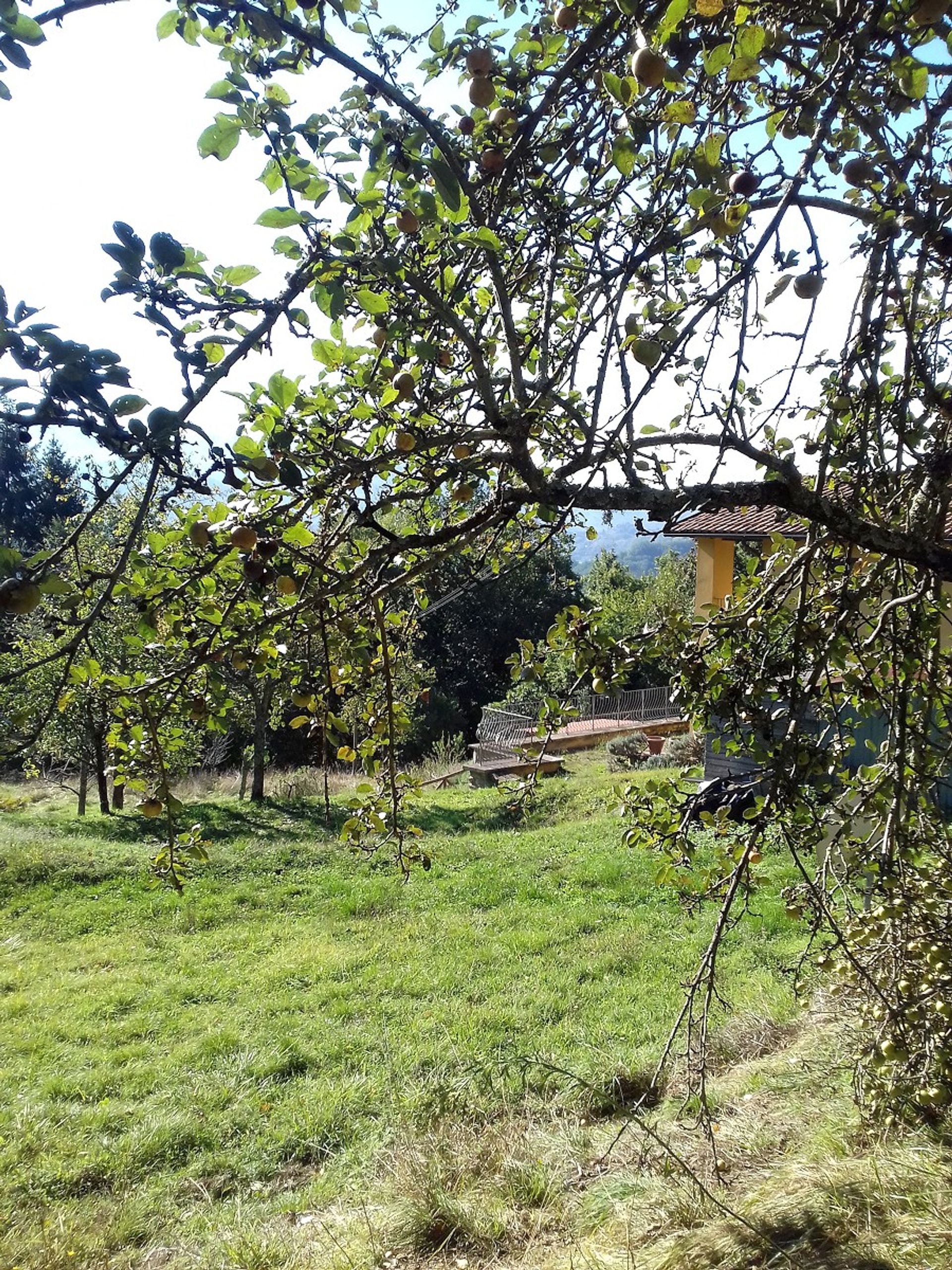 Casa nel Bagni Di Lucca, Tuscany 10017609