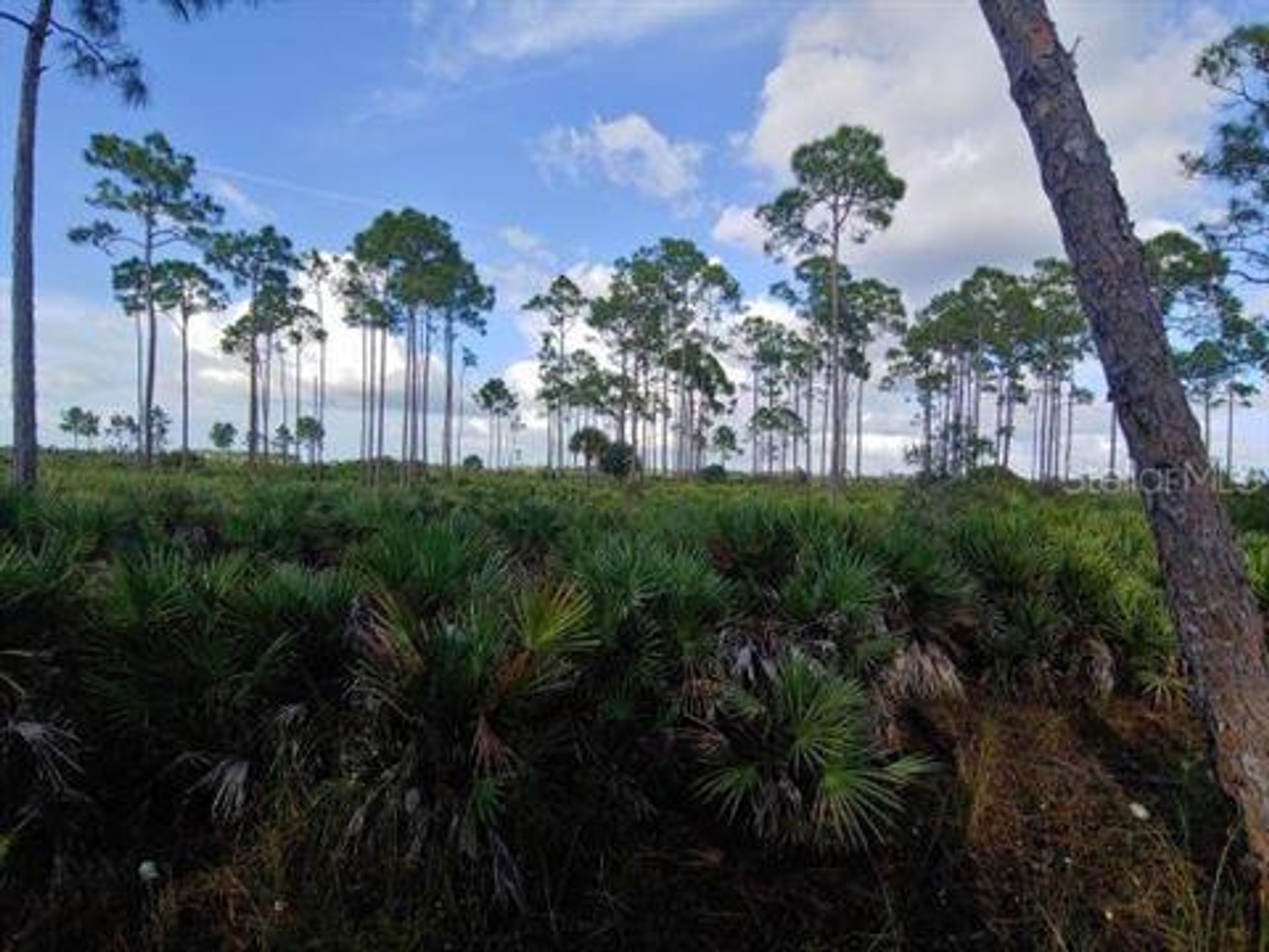 Tierra en Altos de Punta Gorda Sur, Florida 10017846