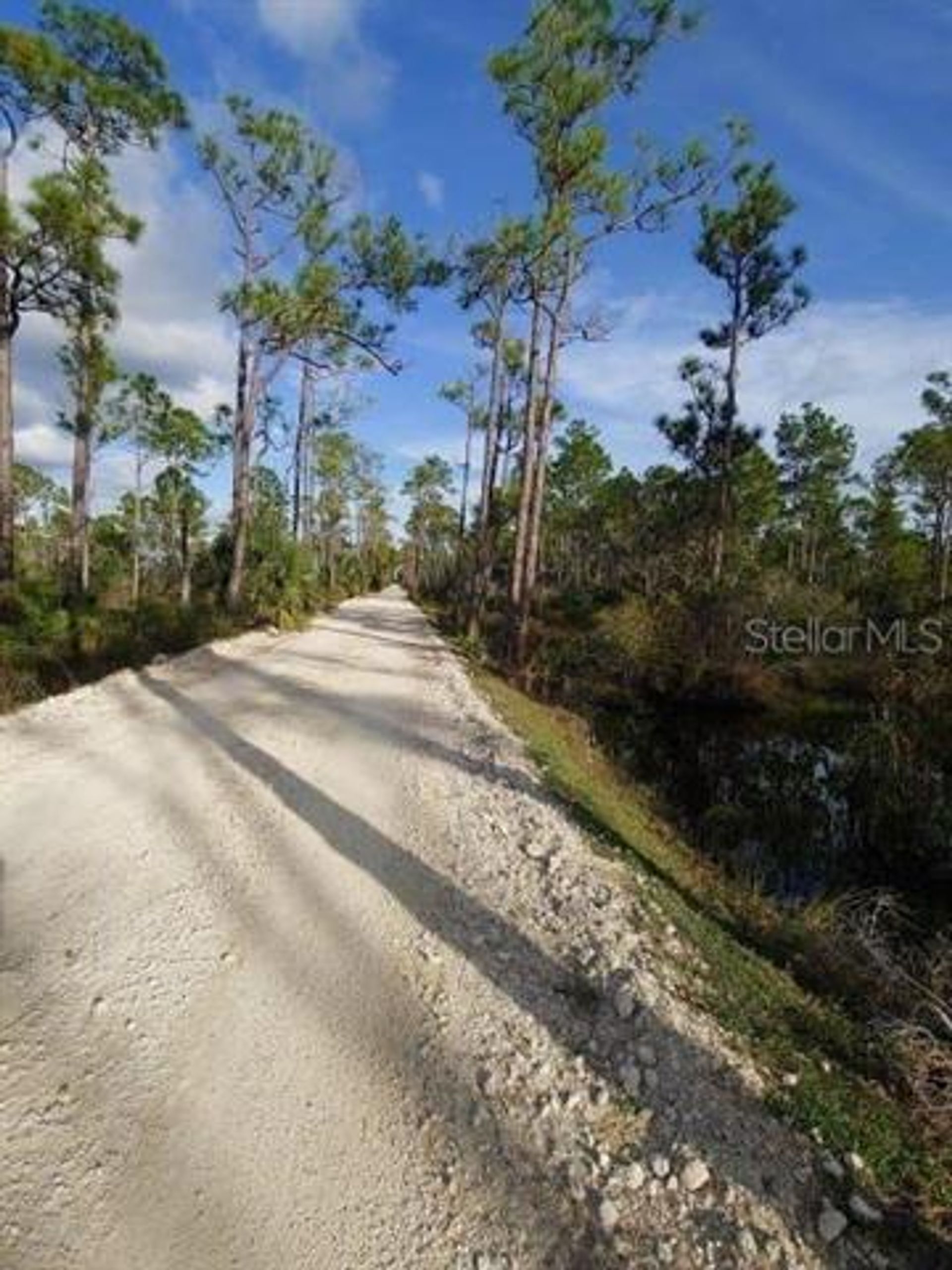 Tierra en Altos de Punta Gorda Sur, Florida 10017846