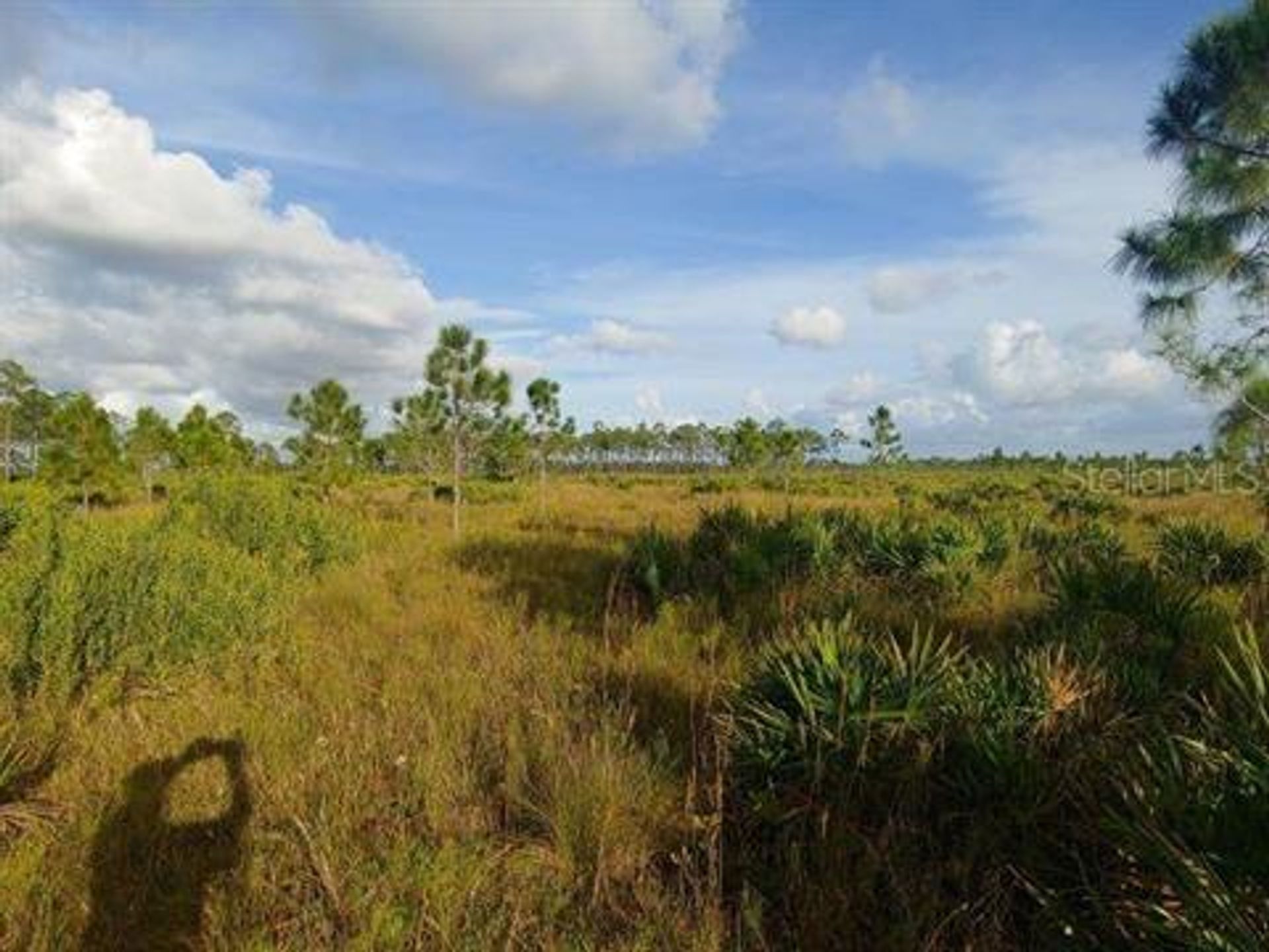 Tierra en Altos de Punta Gorda Sur, Florida 10017846