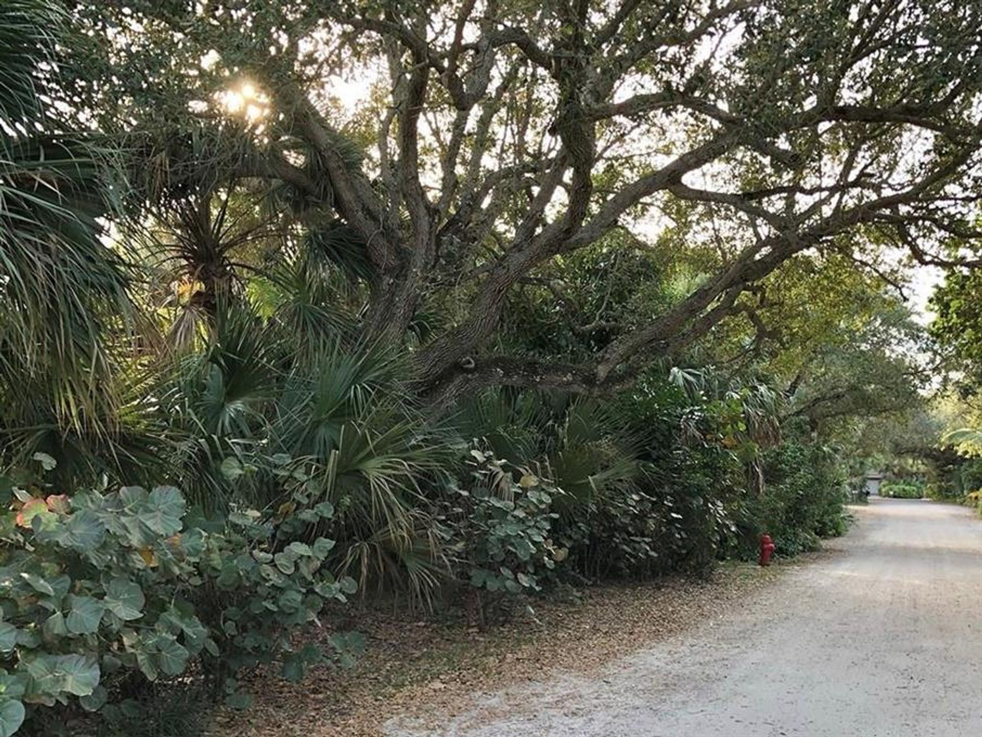 Земельные участки в Vero Beach, Florida 10018111