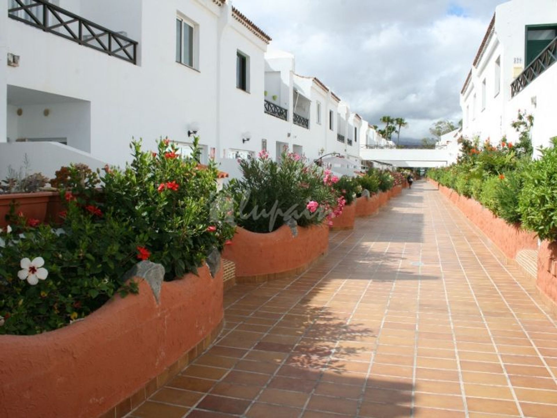 Condominium in Costa Del Silencio, Parque Don Jose 10019621