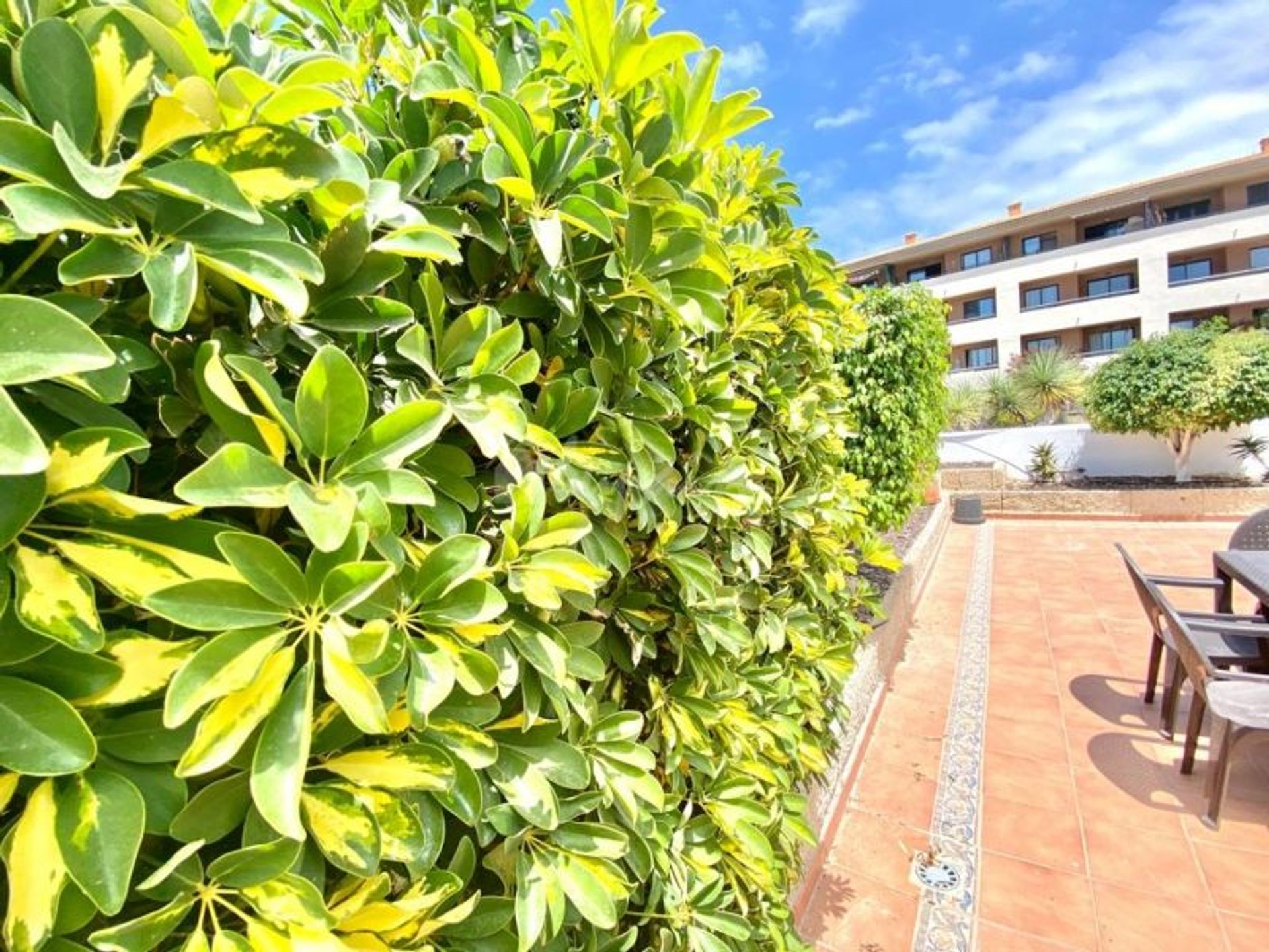 Condominio en Playa Paraiso, El Cielo Ii 10019810