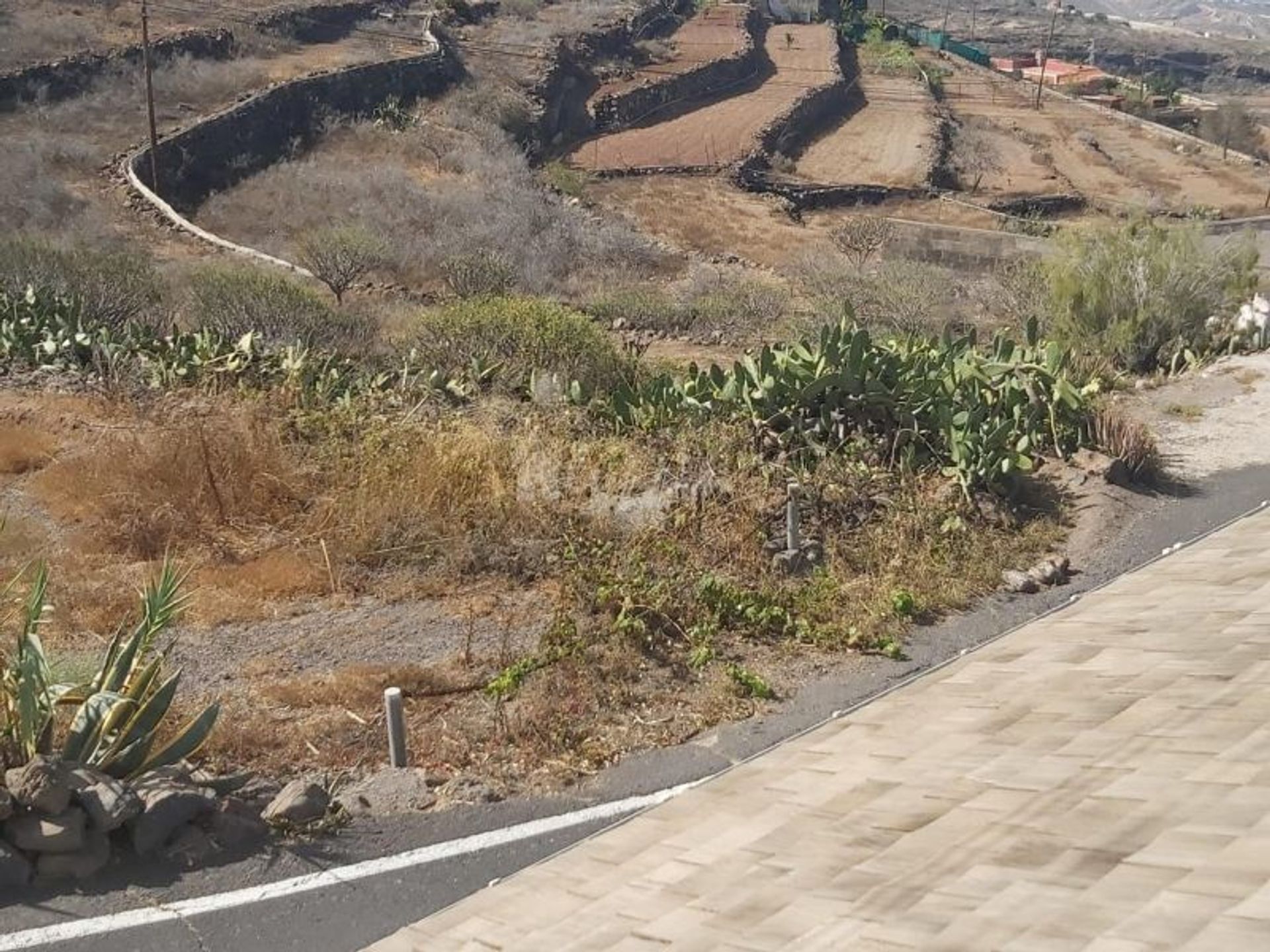 Rumah di Acojeja, Tenerife 10020028