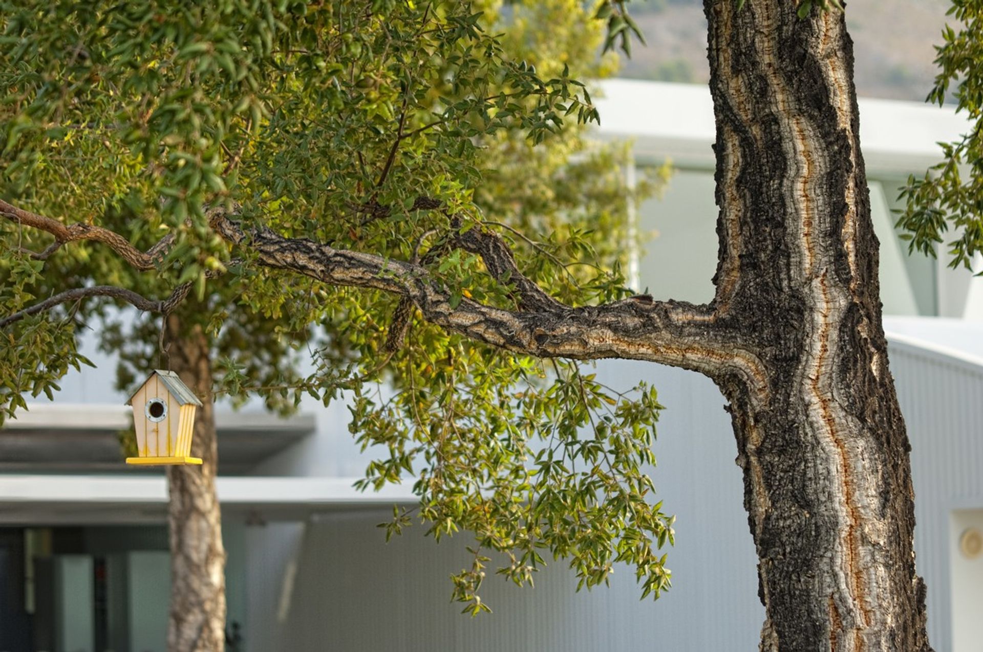 casa en Mijas, Malaga 10020315