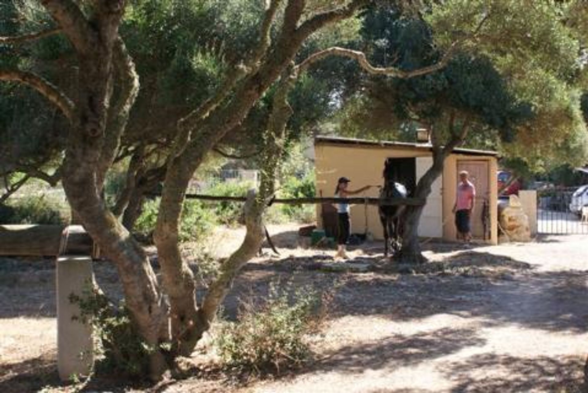 Casa nel San Clemente, Menorca 10020442