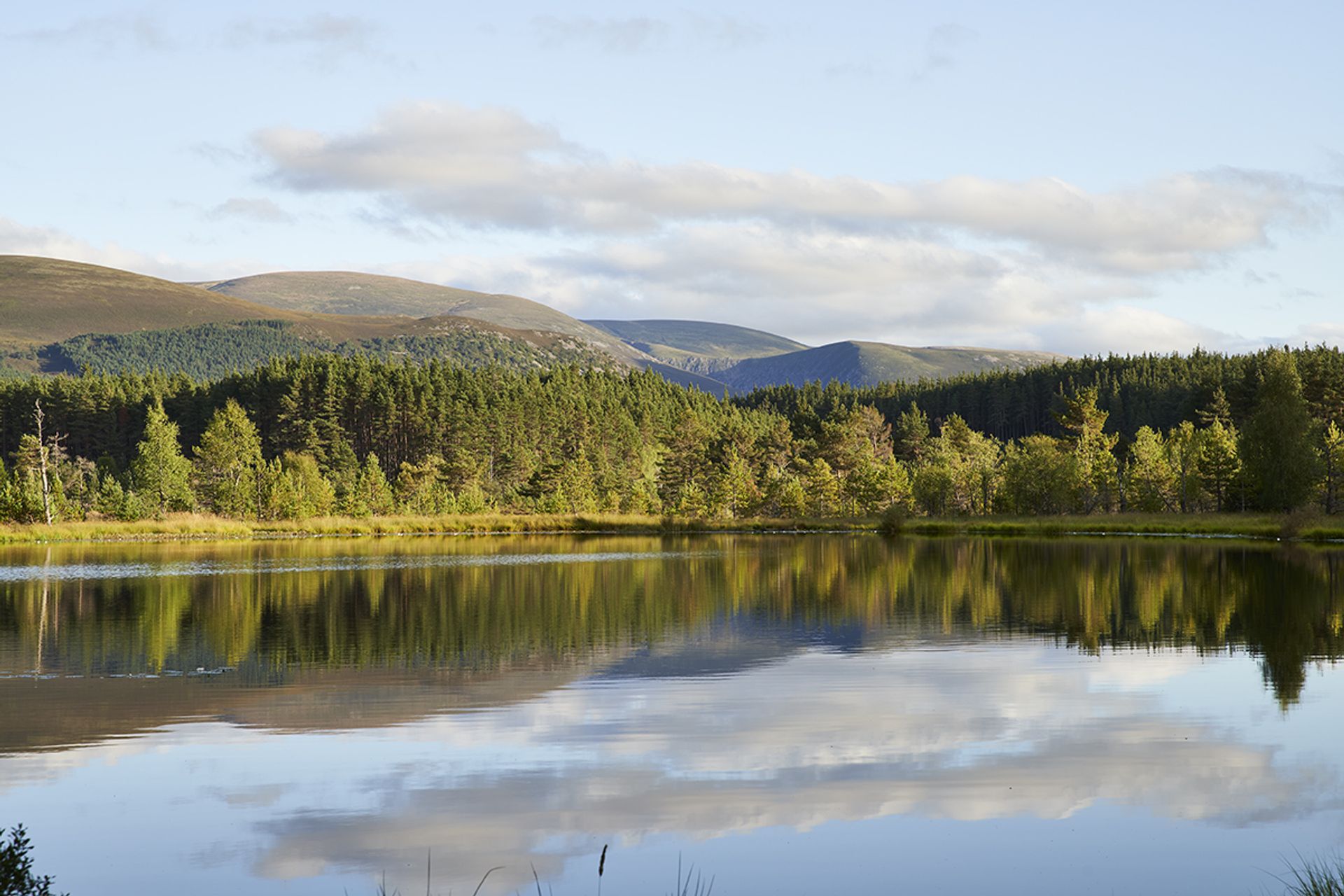 House in Aviemore, Highland 10020532