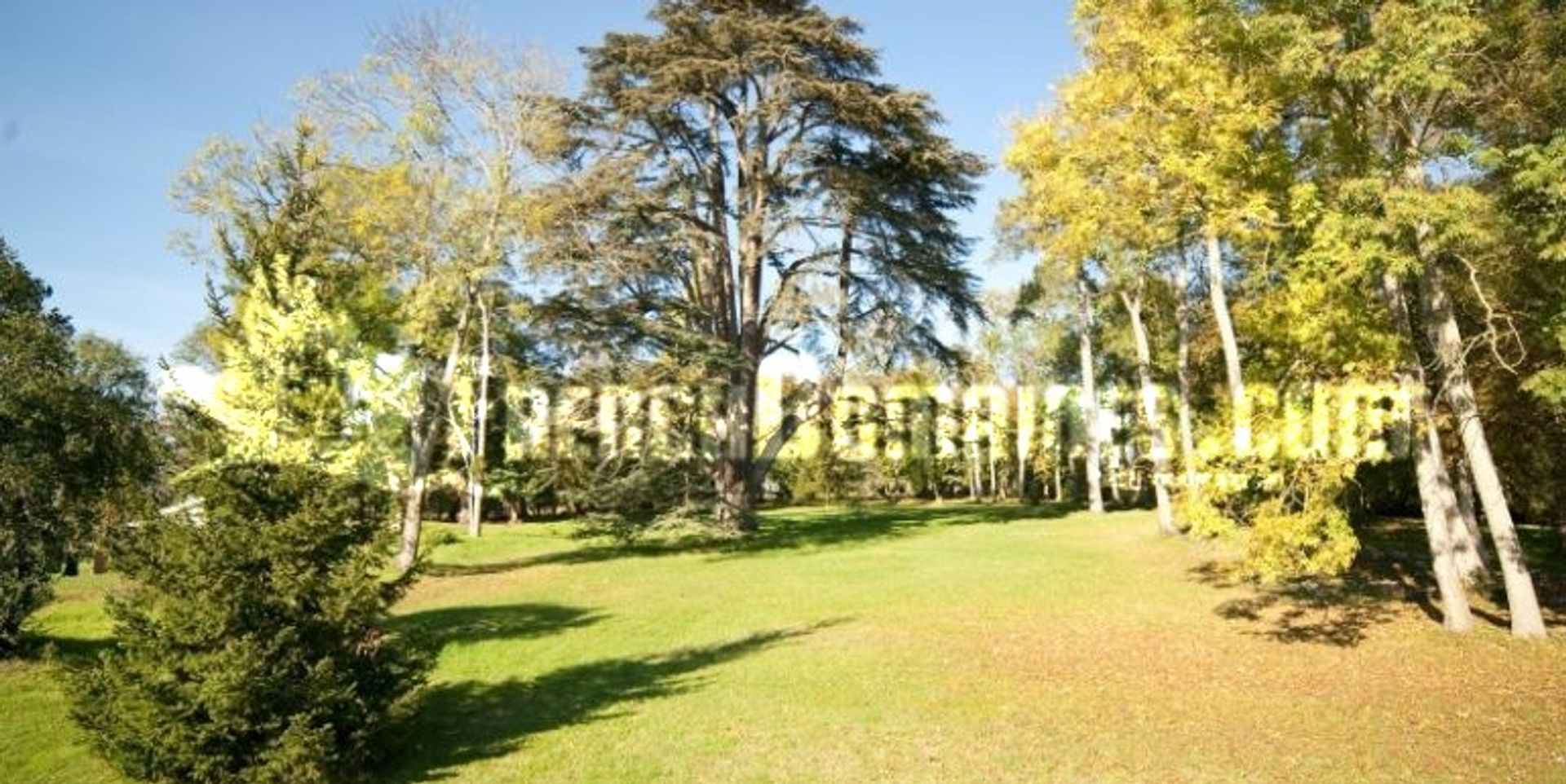 casa no Loches, Centre-Val de Loire 10020590