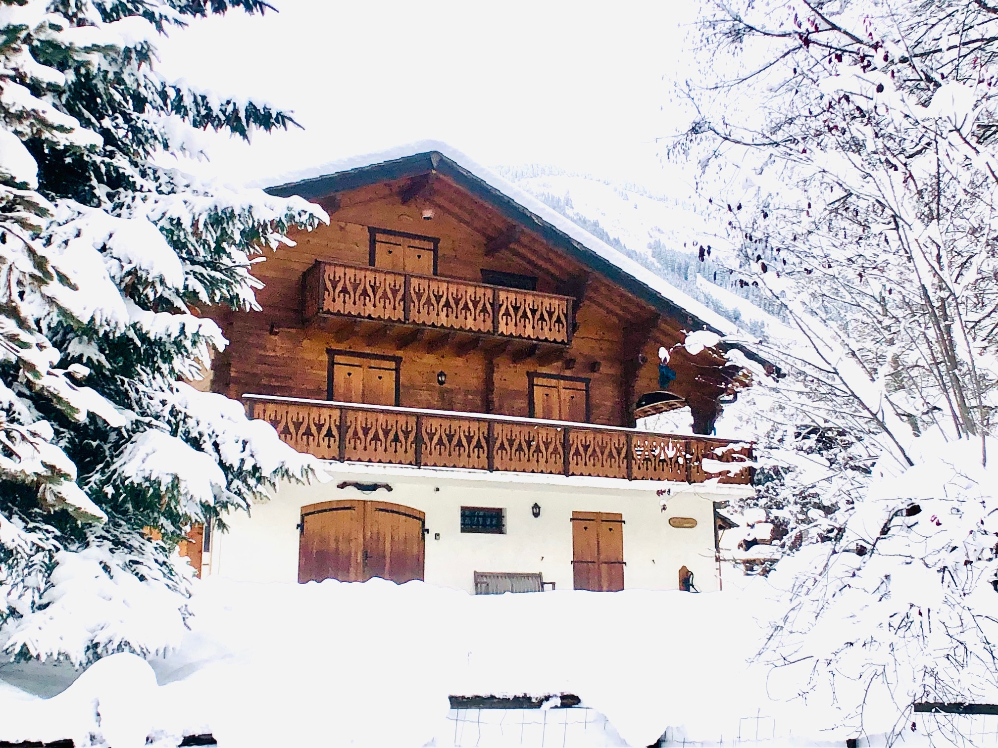 Dom w Chatel, Rhone-Alpes 10020923