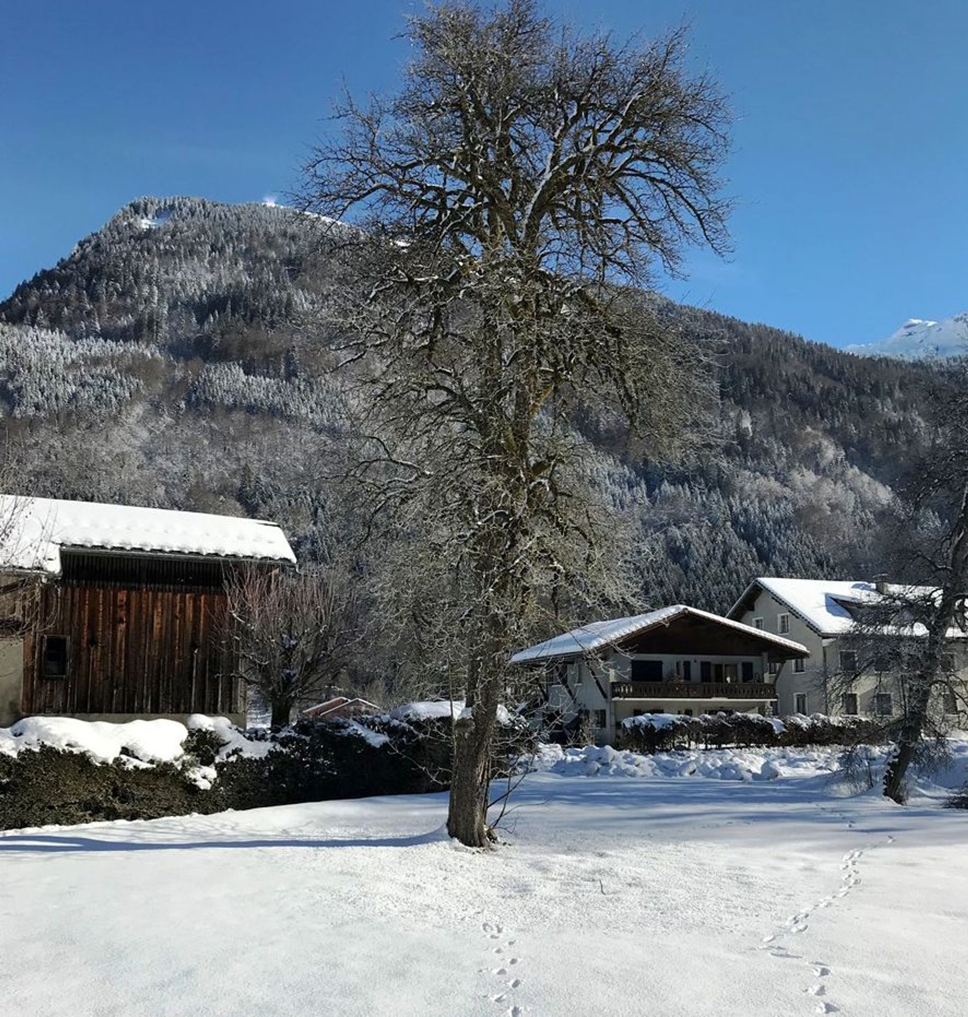 loger dans Samoens, Rhone-Alpes 10020939