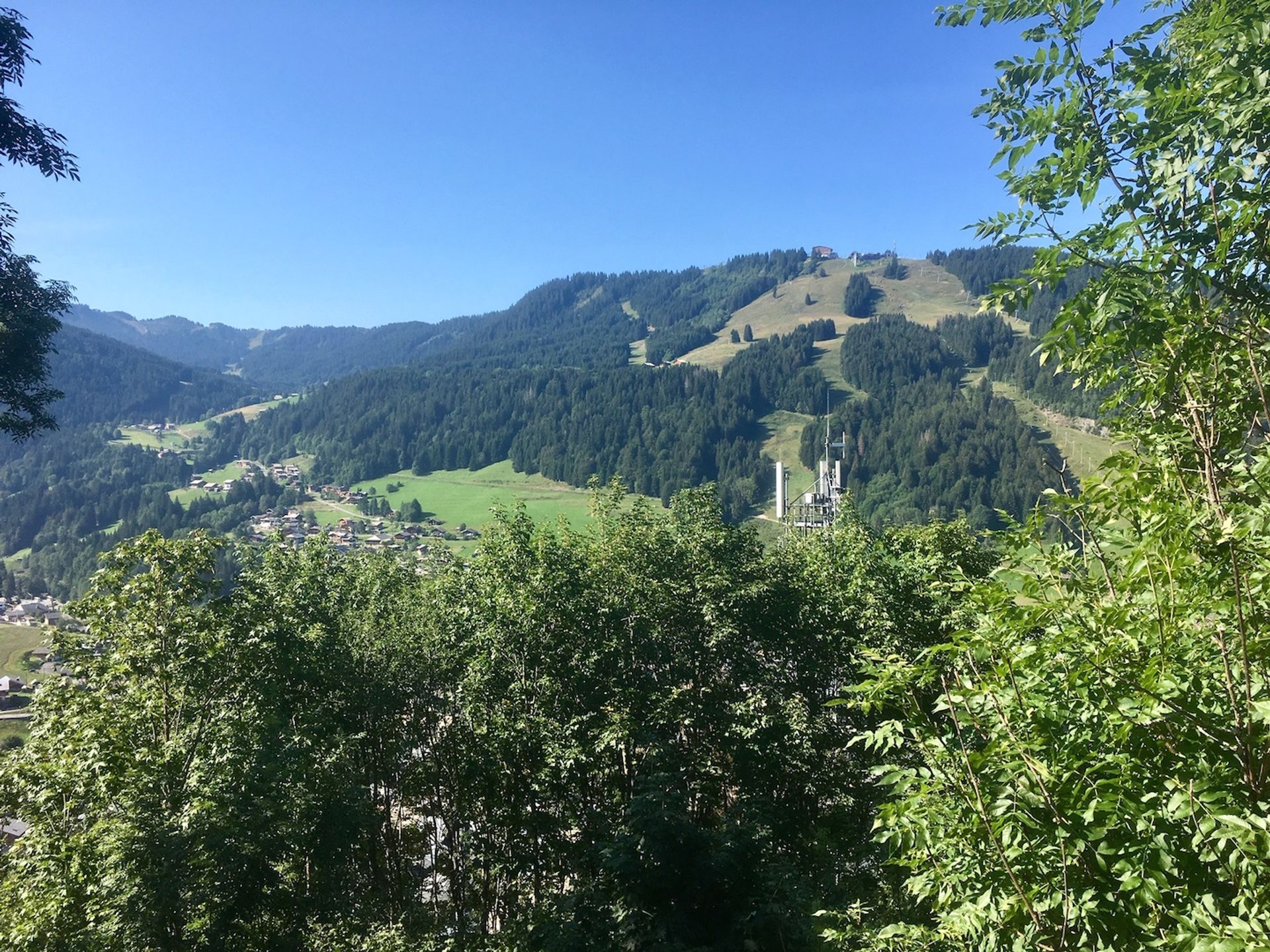 Annen i Tovassière, Valais 10021023