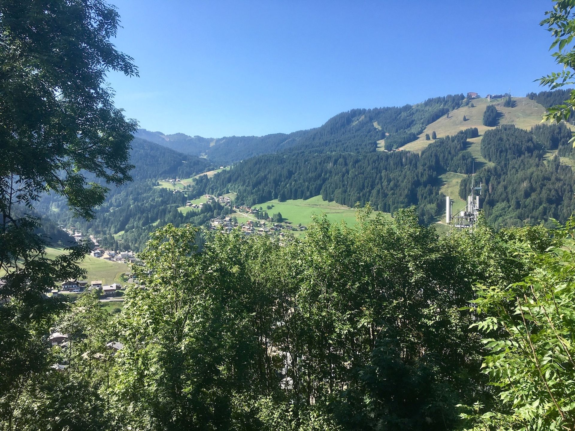 Annen i Tovassière, Valais 10021023