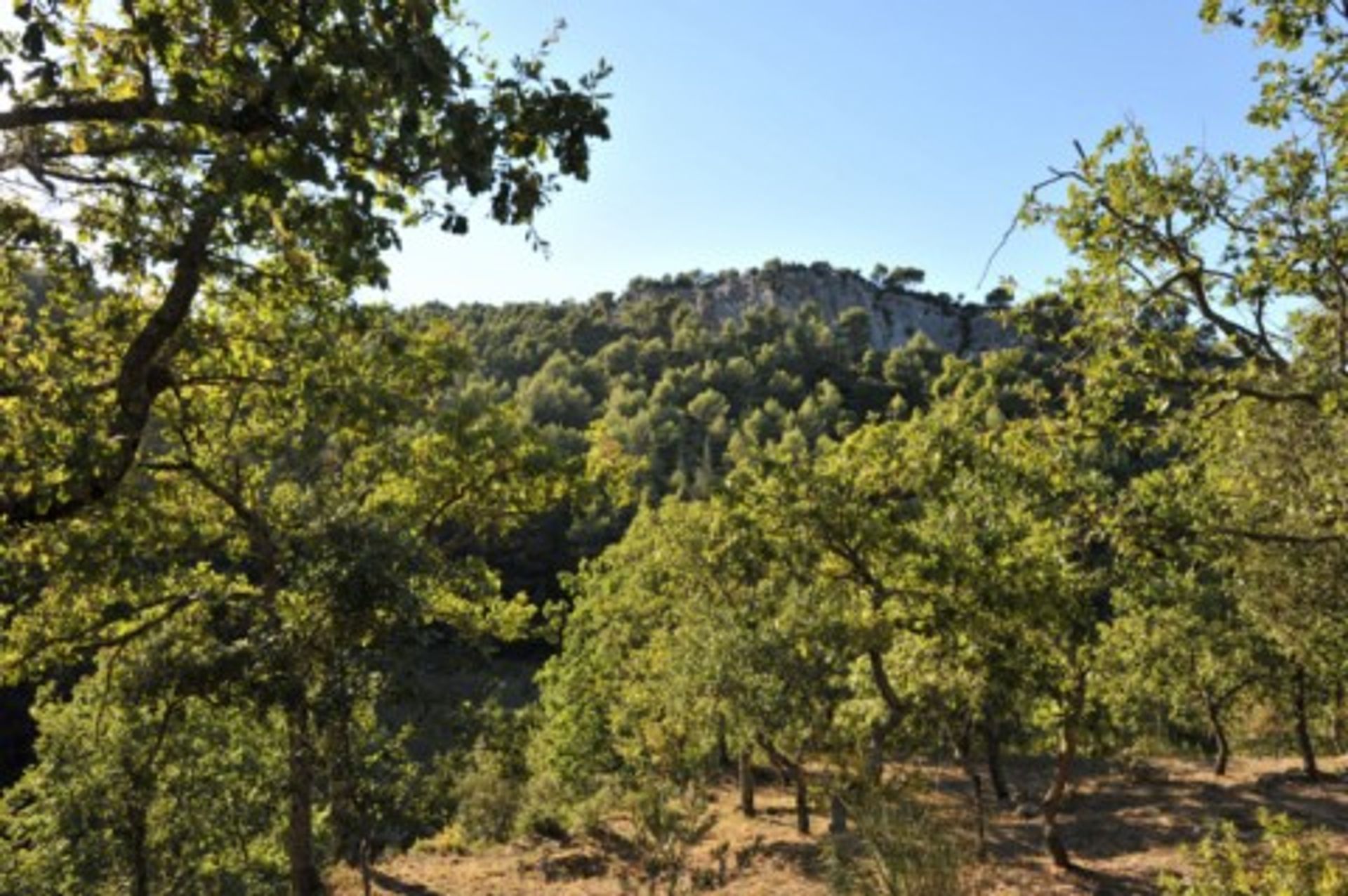 Hus i Oppede, Provence-Alpes-Cote d'Azur 10021175