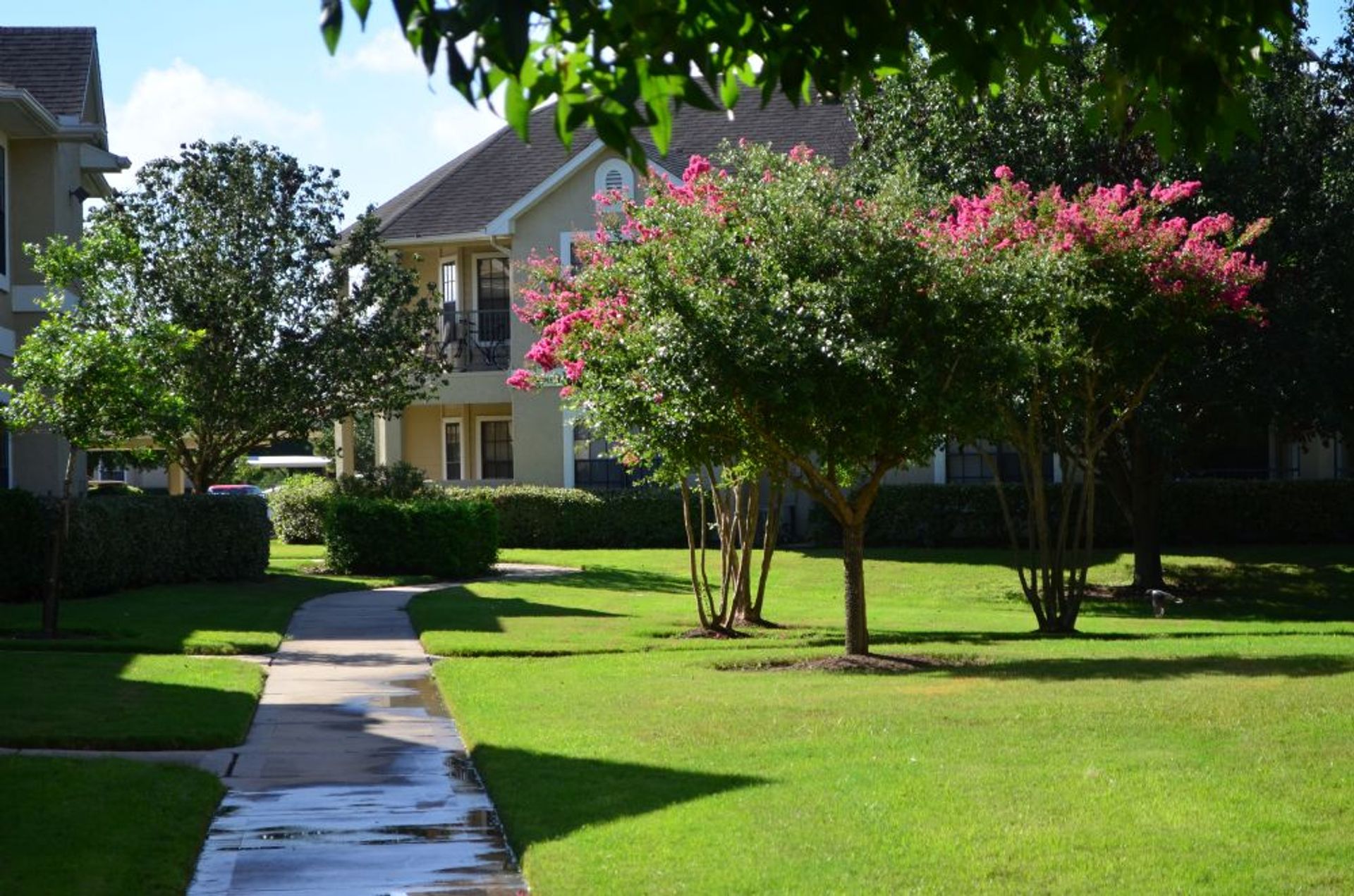 Kondominium dalam Ladang Cinco, Texas 10021965