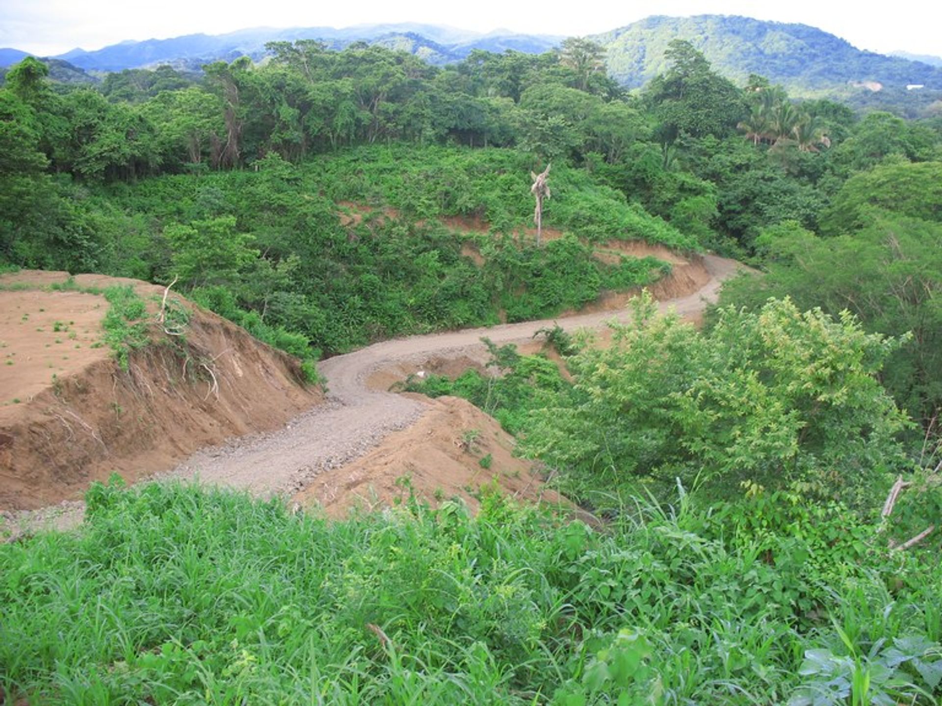 Land i Liberia, Guanacaste 10022313