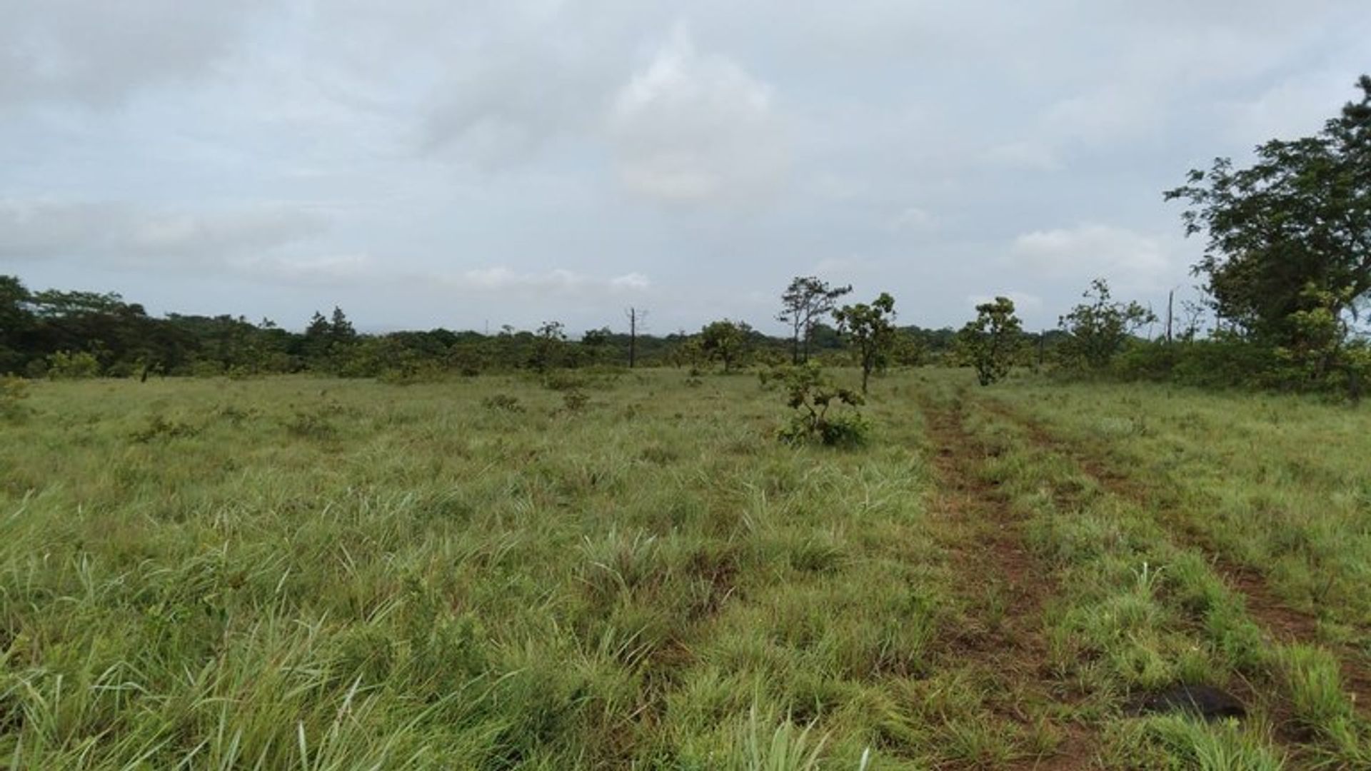 Wylądować w La Cruz, Guanacaste 10022316