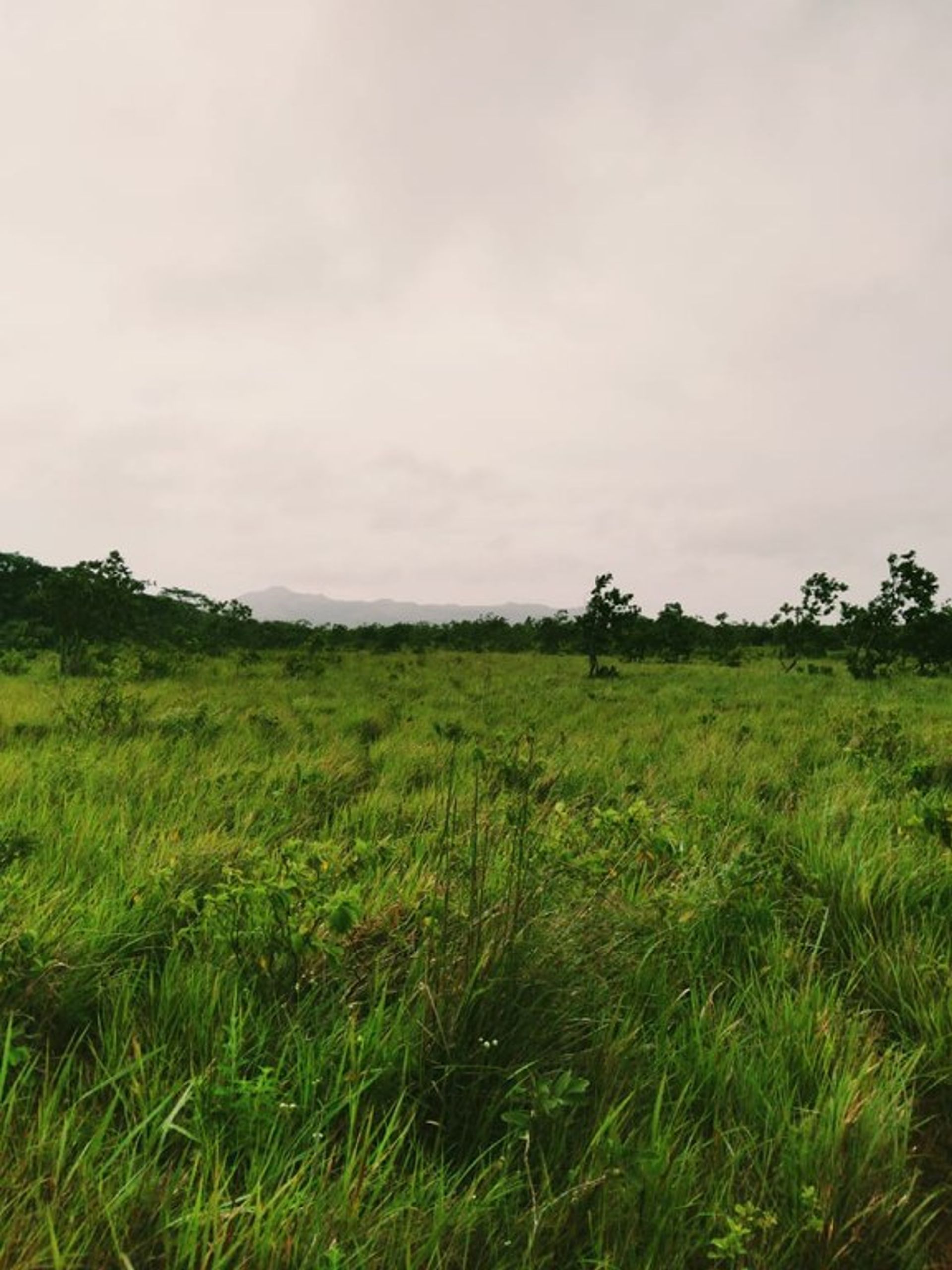 Wylądować w La Cruz, Guanacaste 10022316