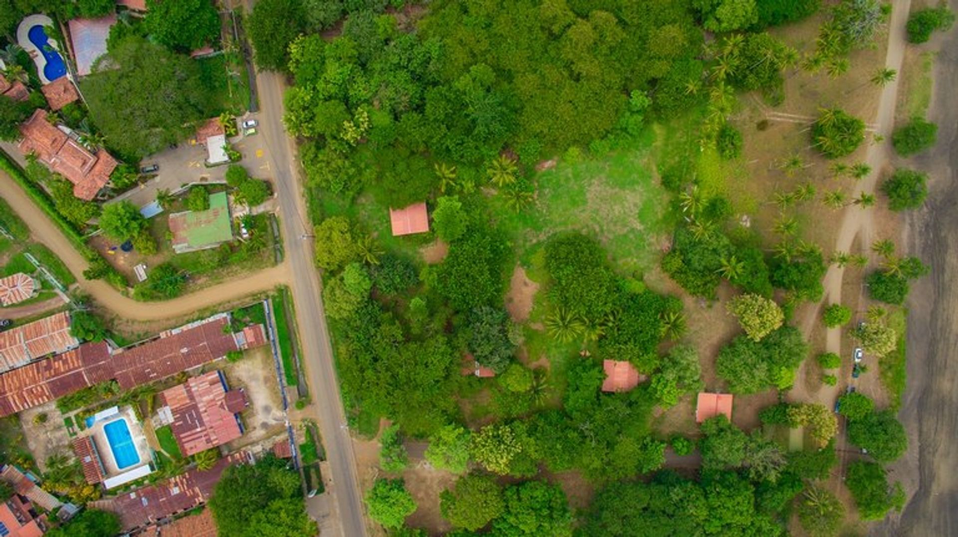 Andere in gemeenschap, Guanacaste 10022319