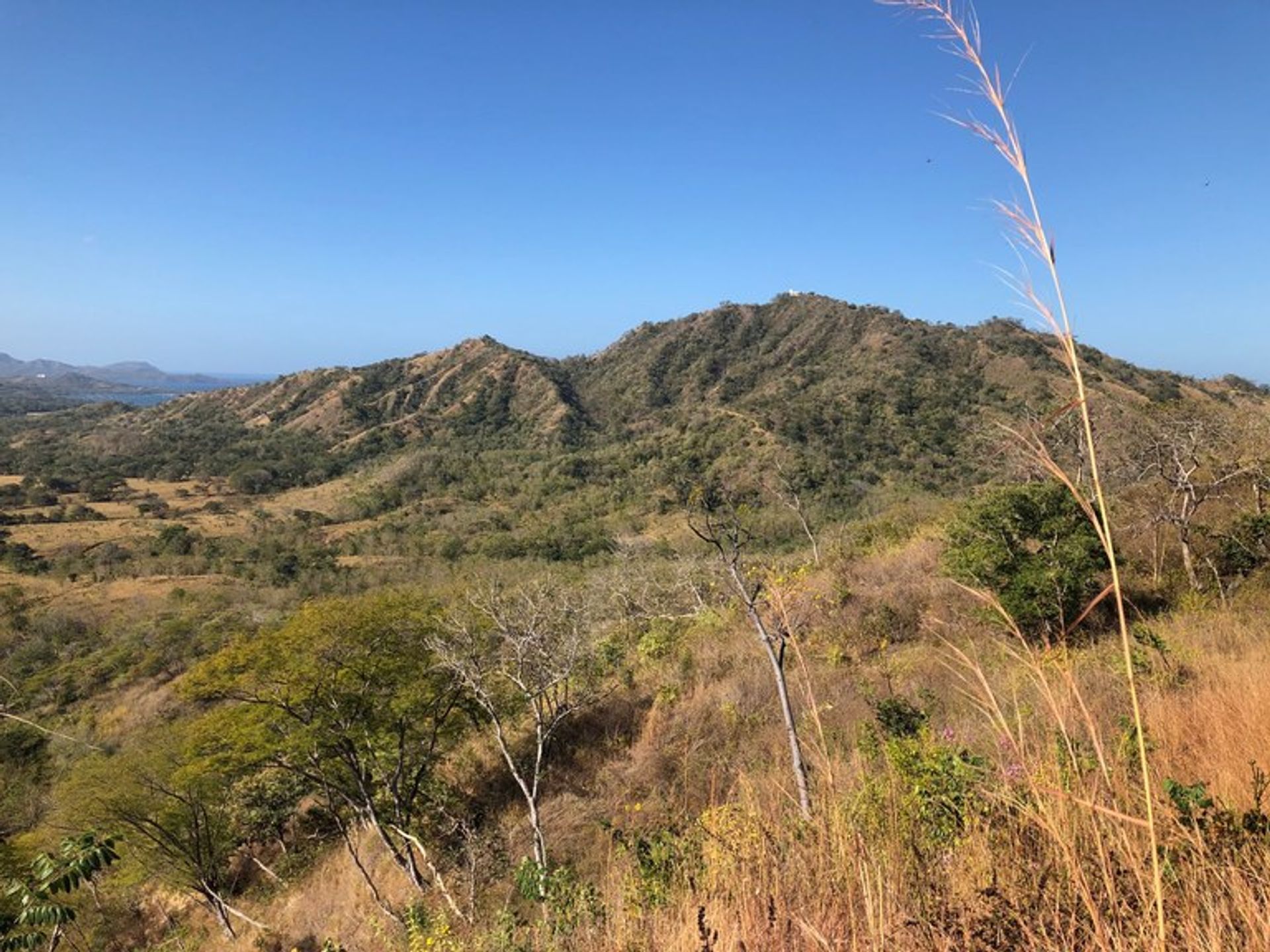 公寓 在 Angeles, Guanacaste 10022320