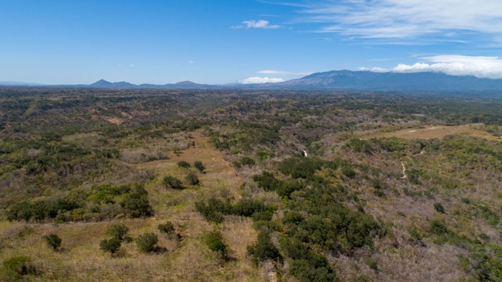 Terra no Canas, Guanacaste 10022321