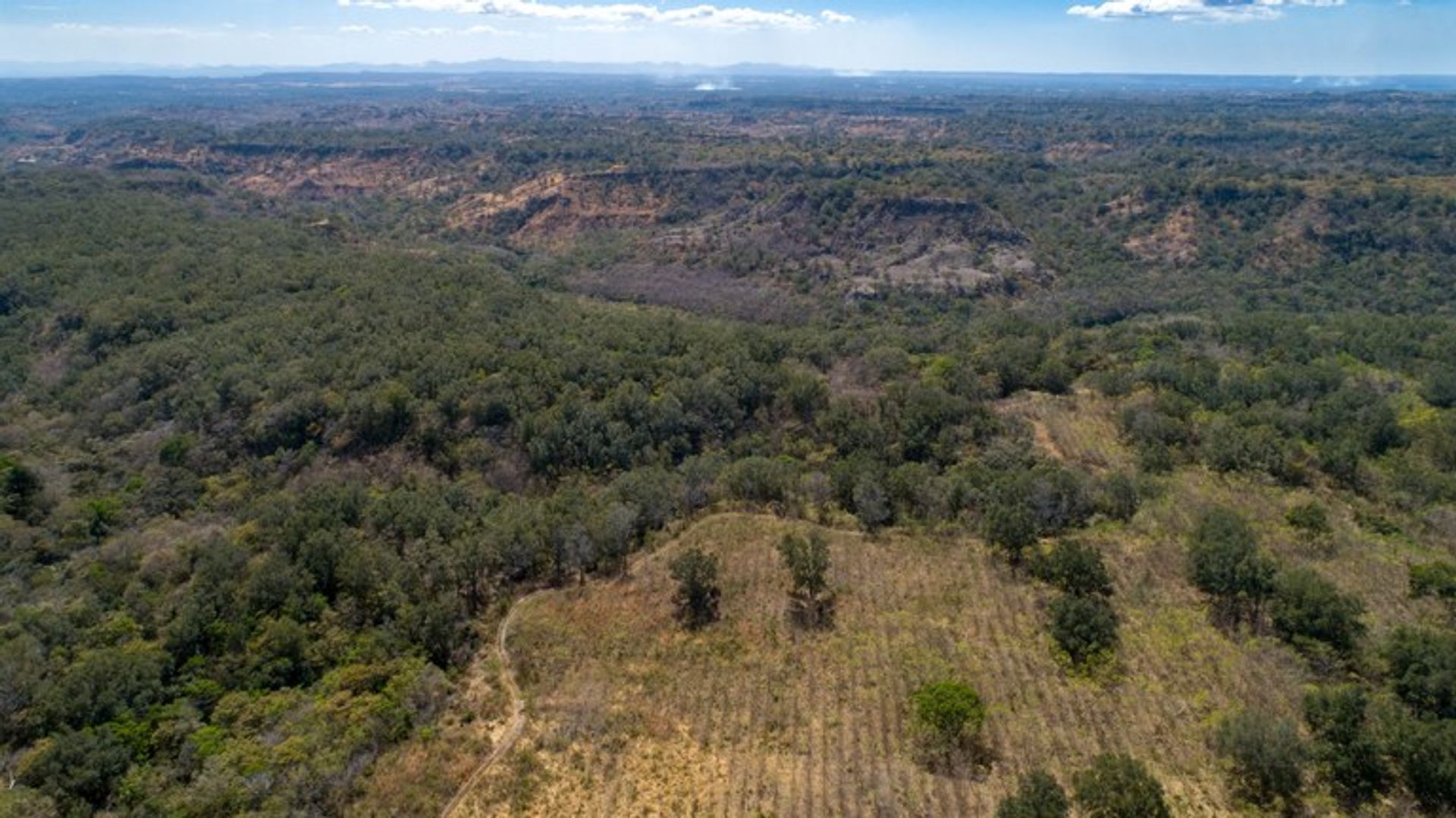 Terra no Canas, Guanacaste 10022321