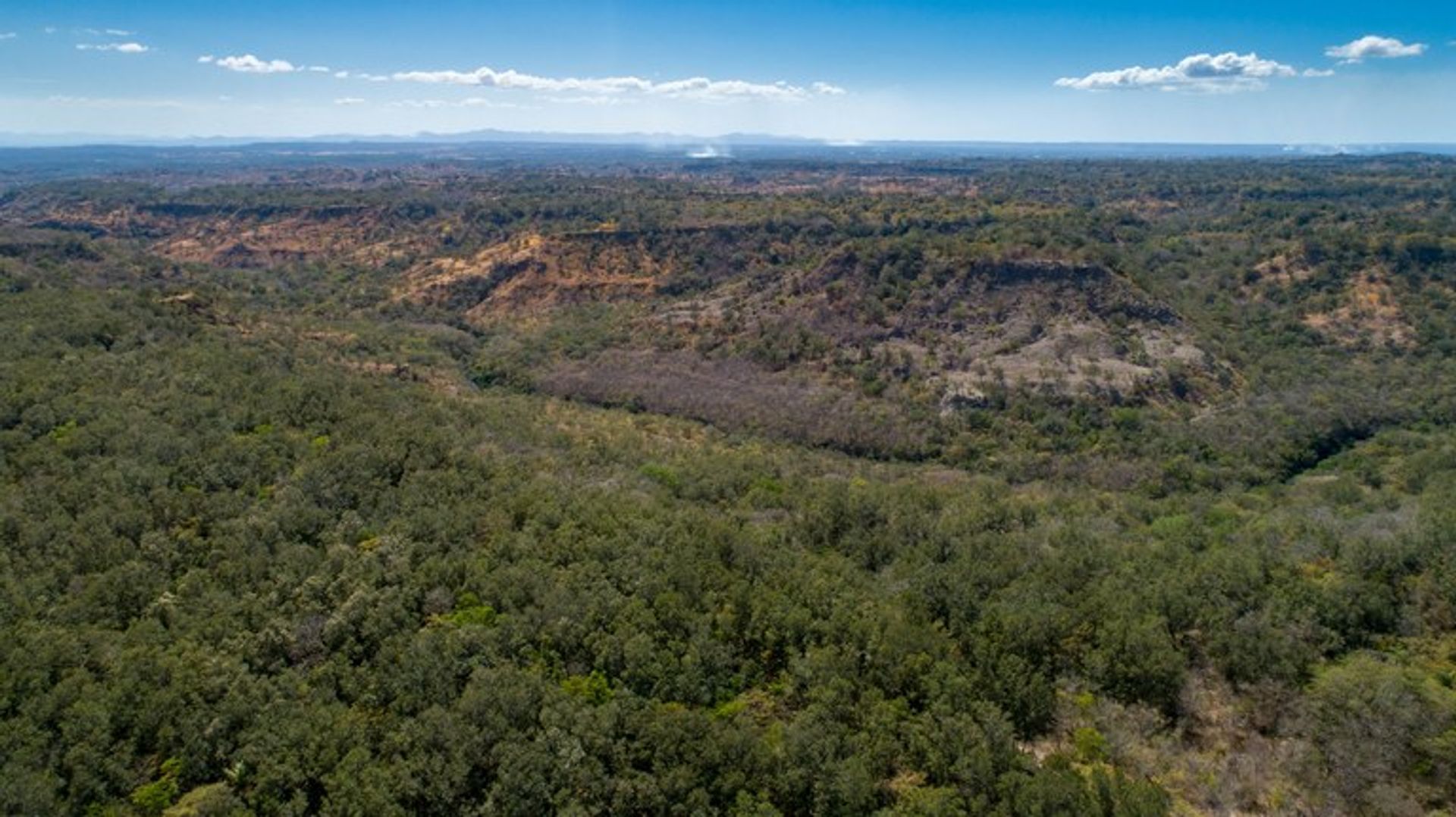 Terra no Canas, Guanacaste 10022321