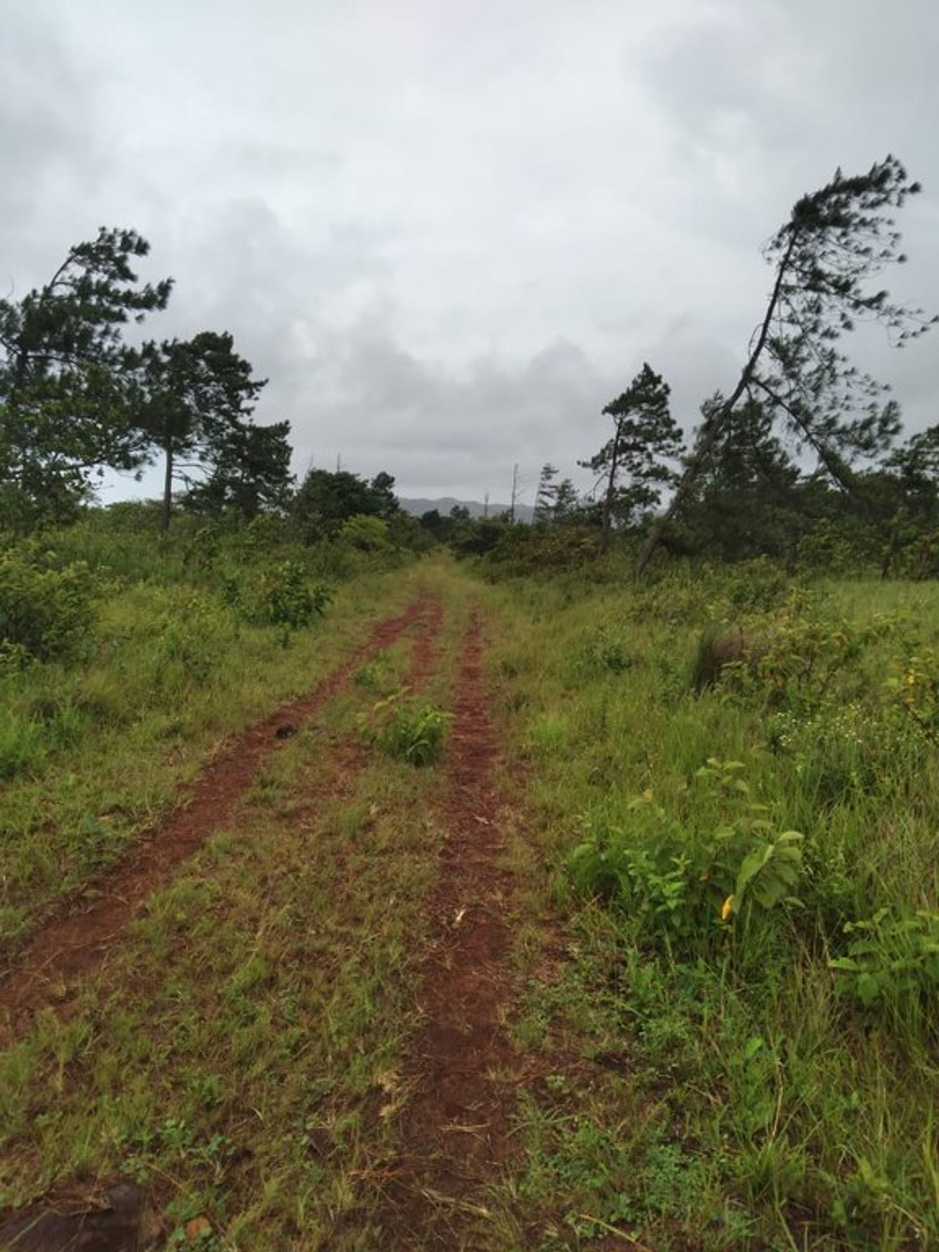 Land i La Cruz, Guanacaste 10022324