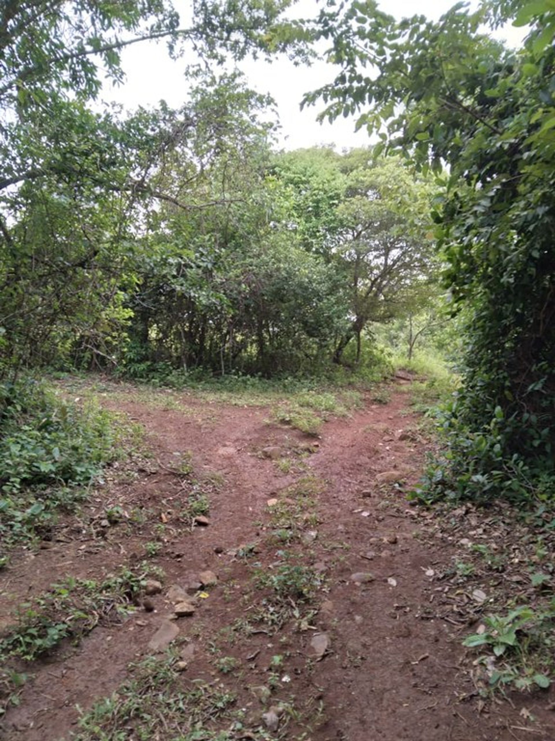 土地 在 La Cruz, Guanacaste 10022325