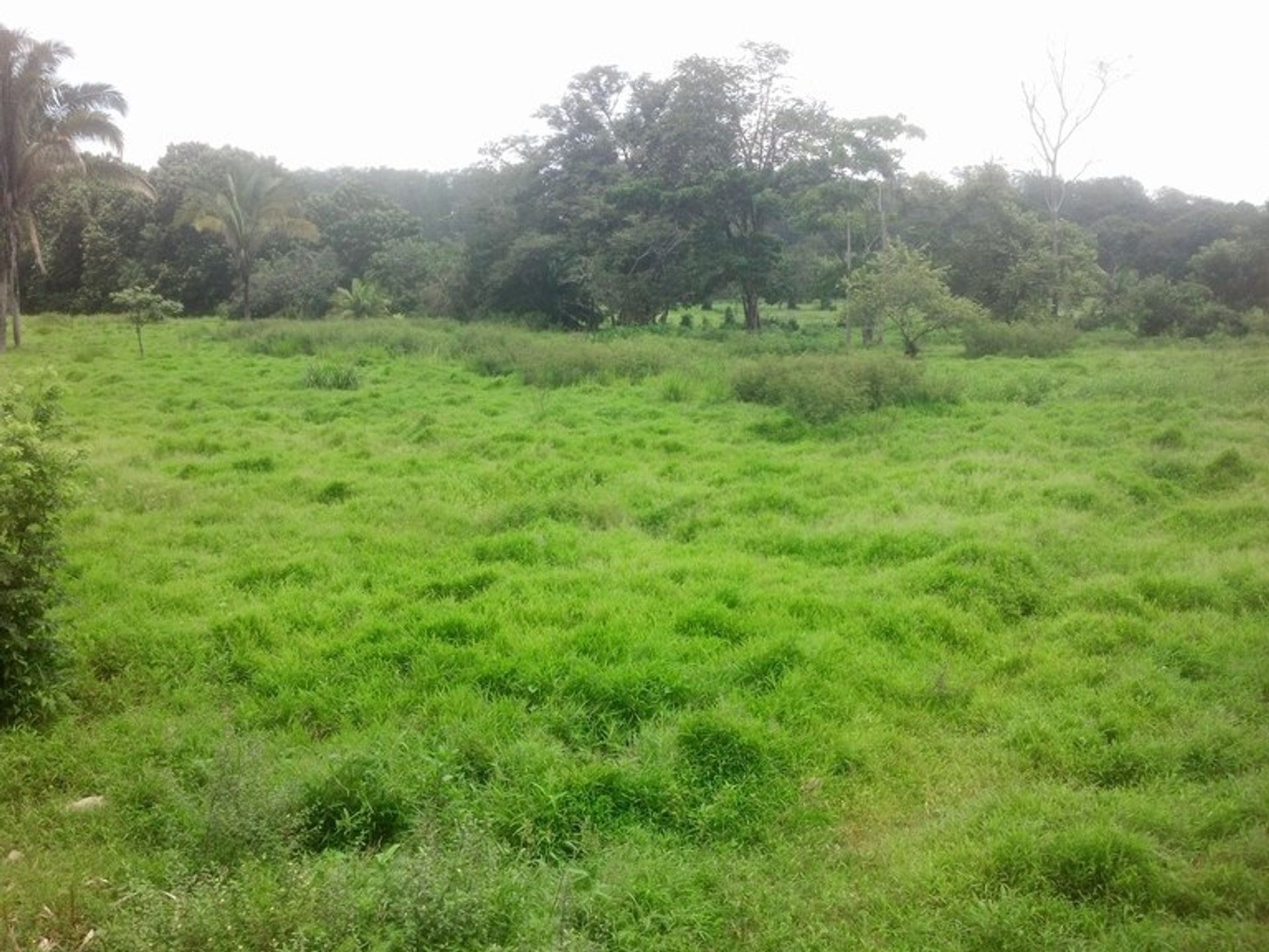 Casa nel Asentamiento Almendro, Chiriqui 10022333