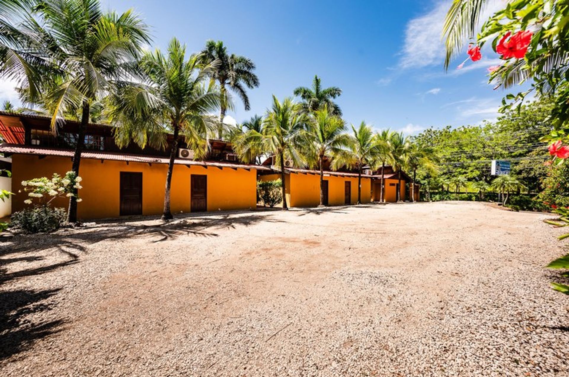 Pengecer di Playa Flamingo, Guanacaste 10022355