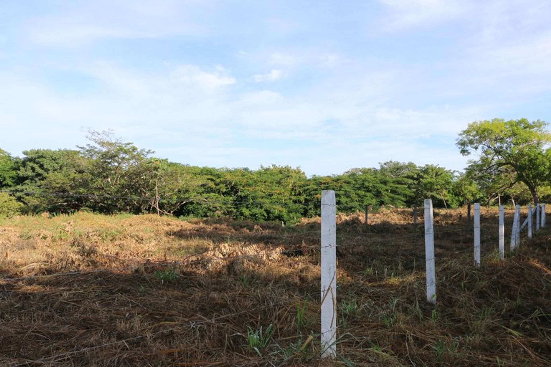 Інший в Playa Ocotal, Guanacaste 10022413