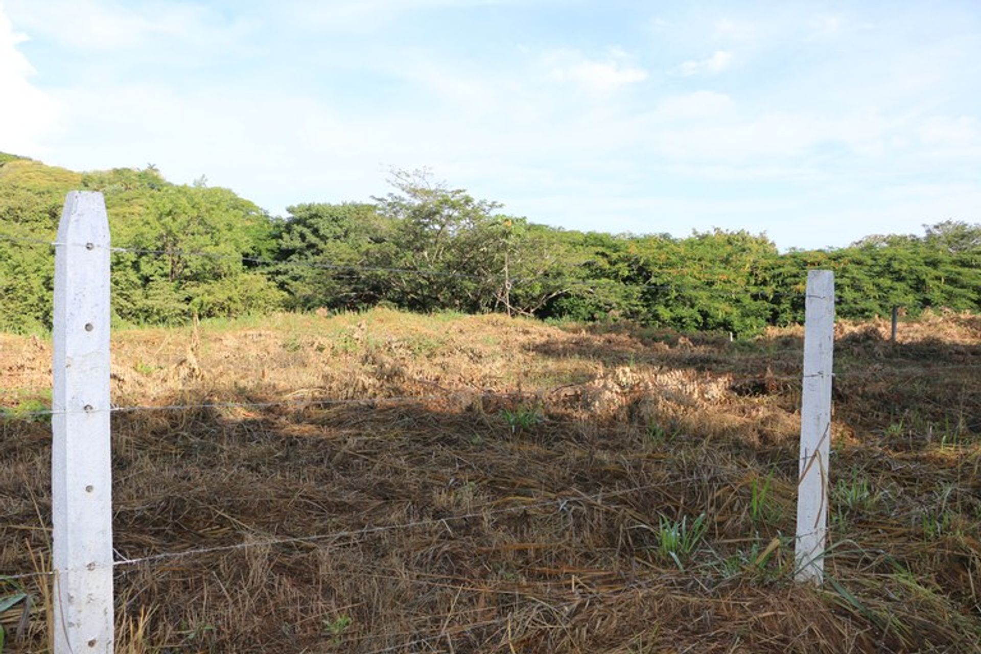 Інший в Playa Ocotal, Guanacaste 10022413