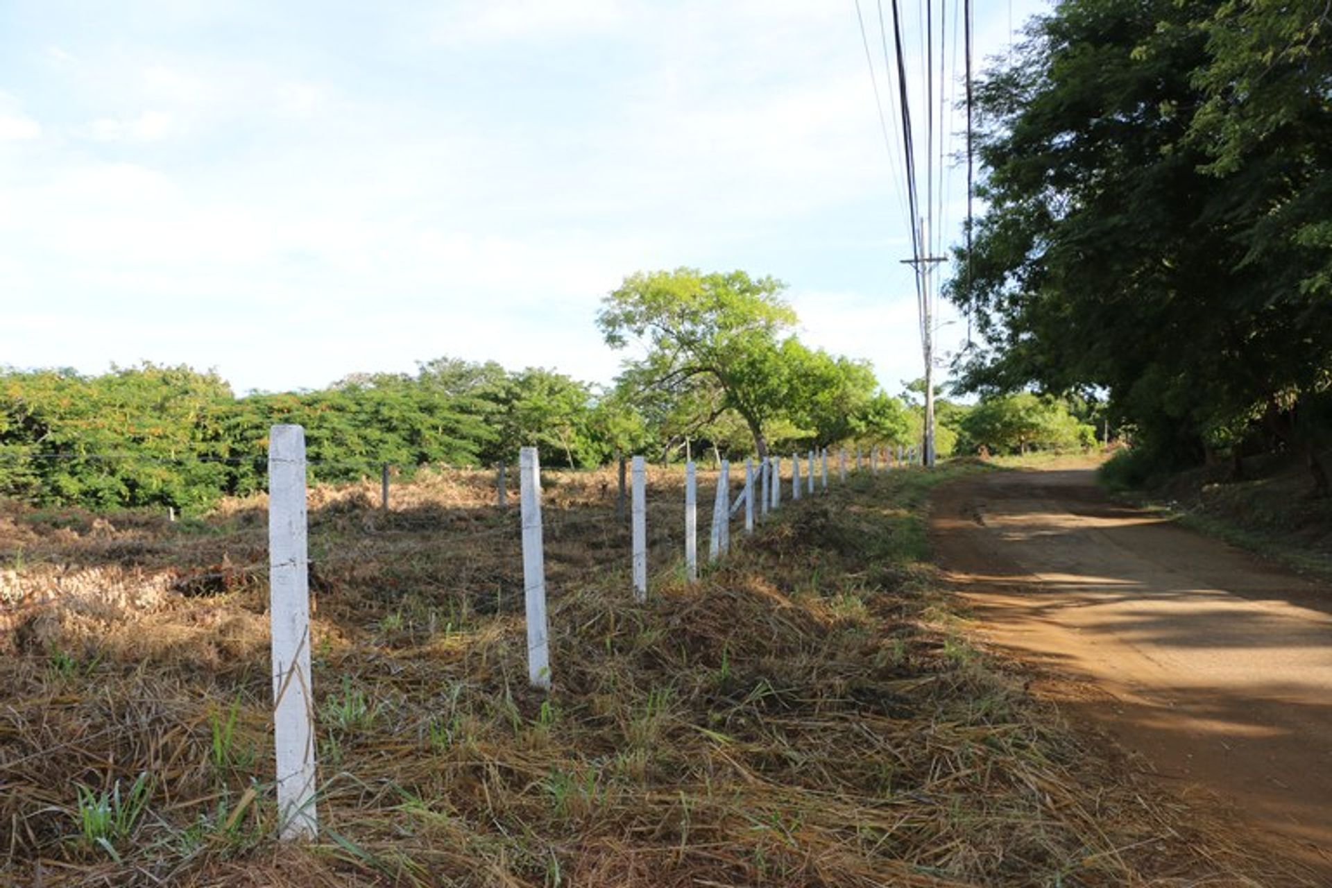 其他 在 Playa Ocotal, Guanacaste 10022413