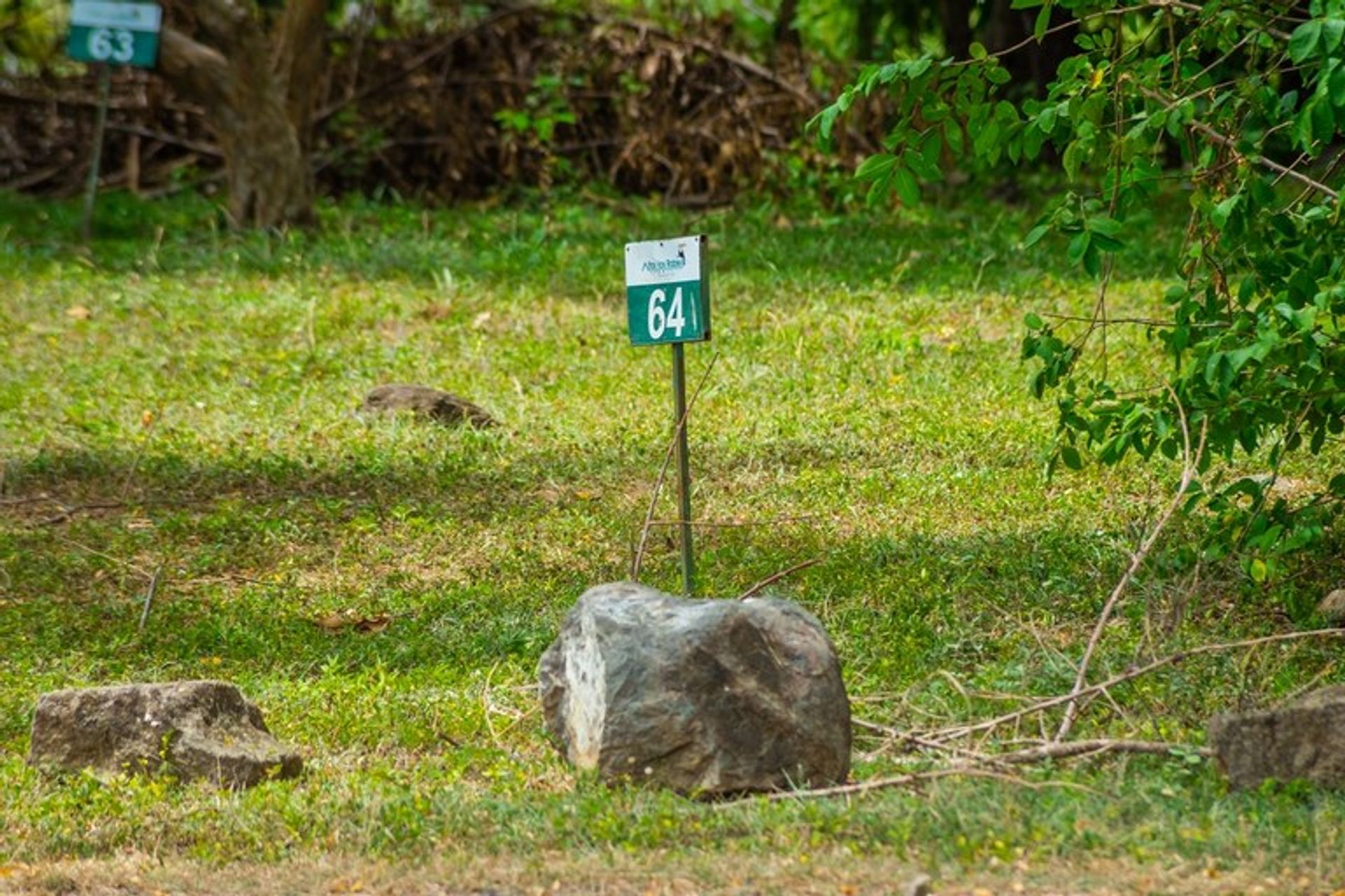 सम्मिलित में Sardinal, Guanacaste 10022434