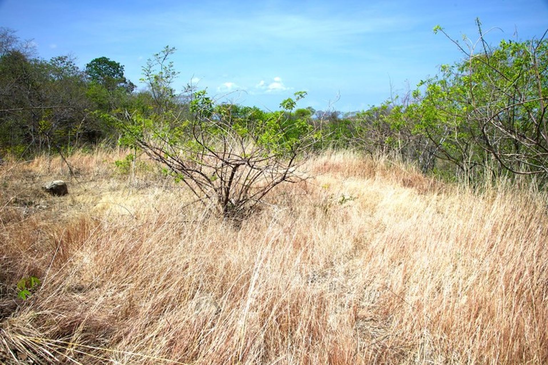 Condominio nel Playa Potrero, Guanacaste 10022441