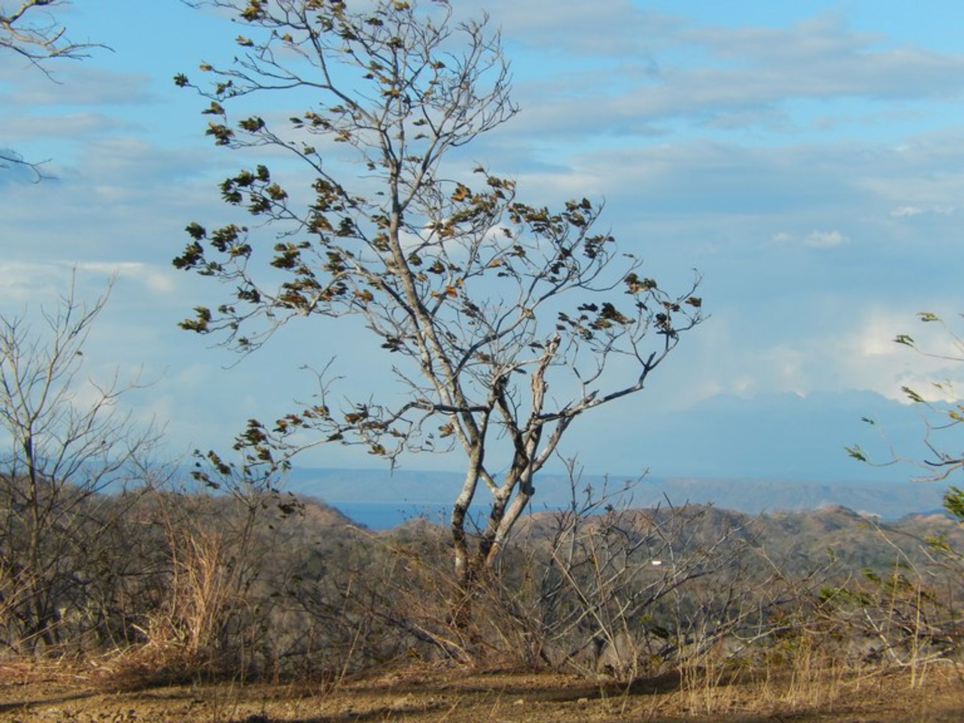 Ejerlejlighed i Ángeles, Guanacaste 10022446