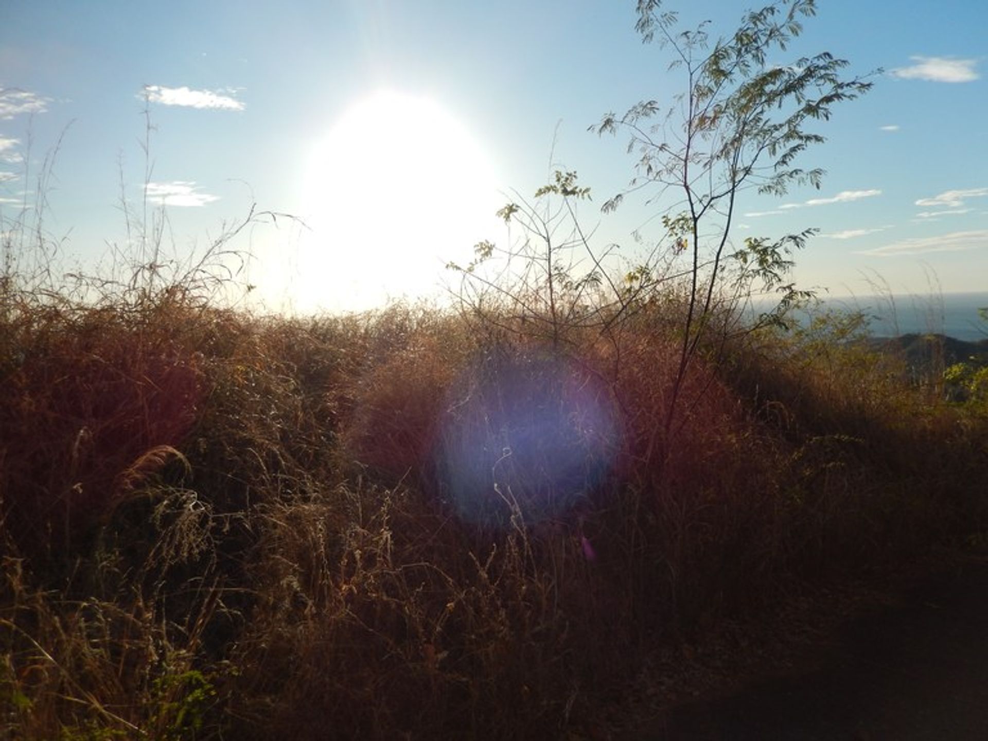 Eigentumswohnung im Ángeles, Guanacaste 10022453