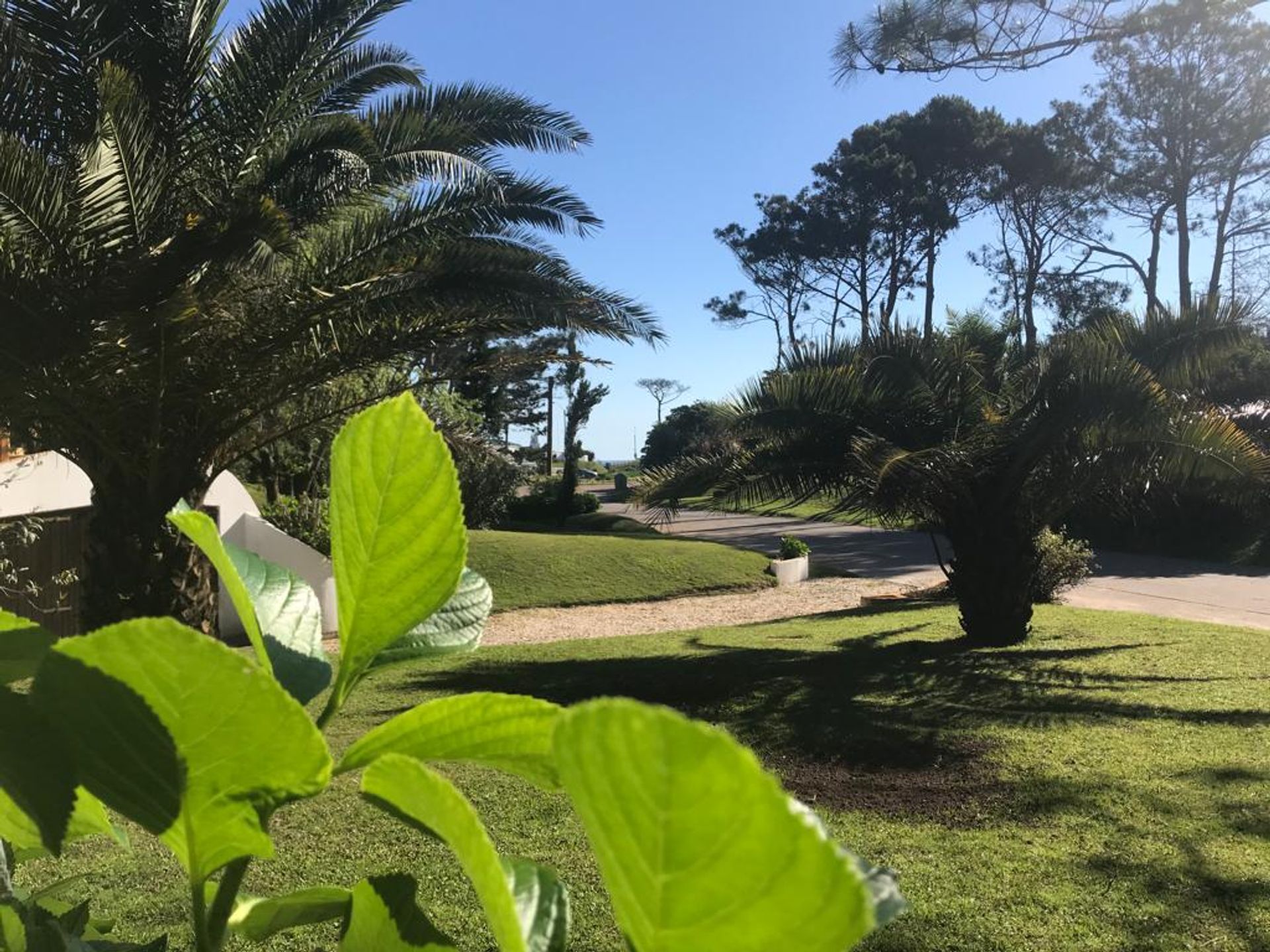 Osakehuoneisto sisään Punta del Este,  10022479