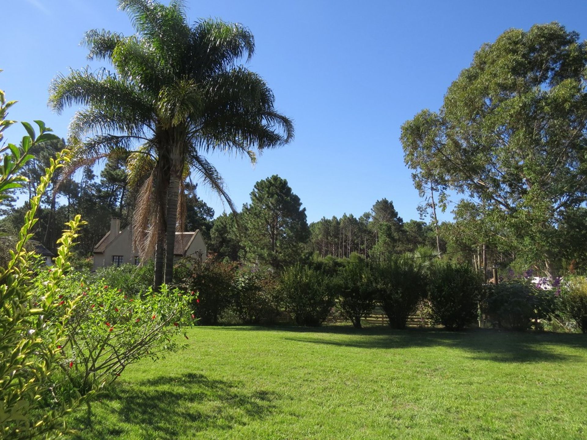 Eigentumswohnung im Punta del Este,  10022492